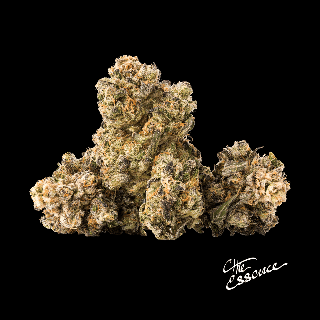 (the) Essence Nutcrackerz 7g Flower
