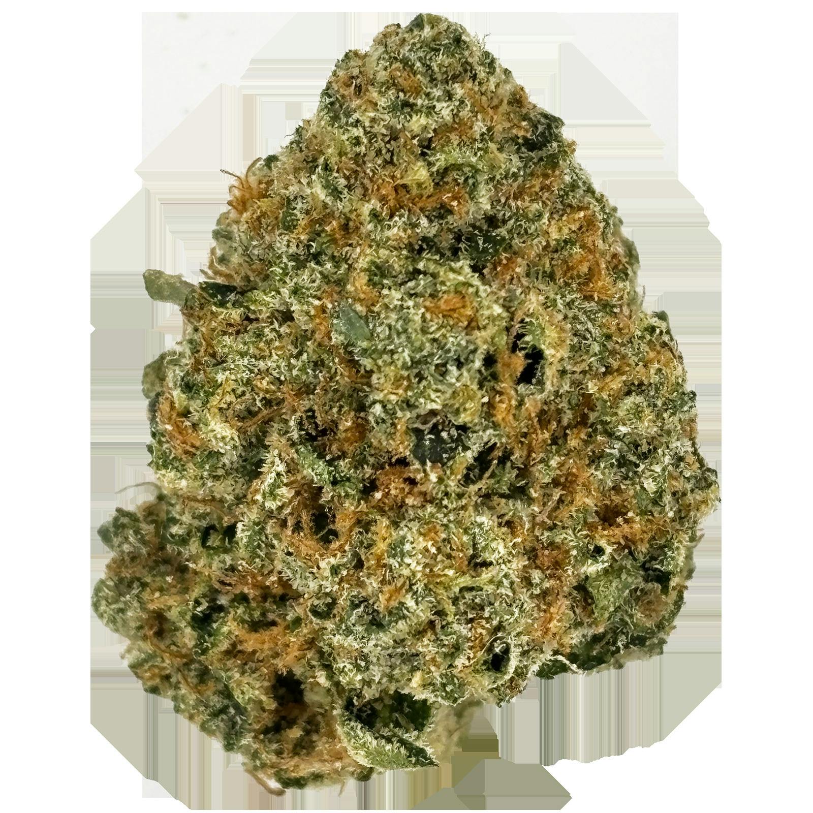 Common Citizen | Death Star Bulk Flower