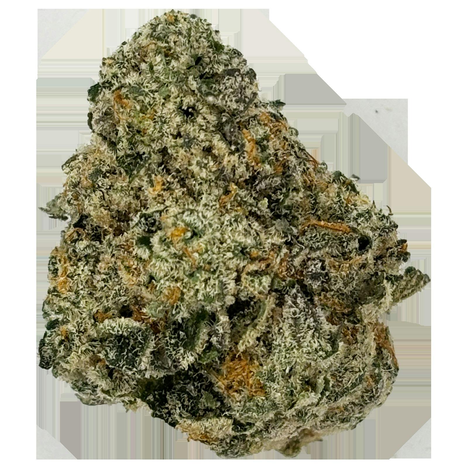 Freedom Green | Dough Knot Bulk Flower