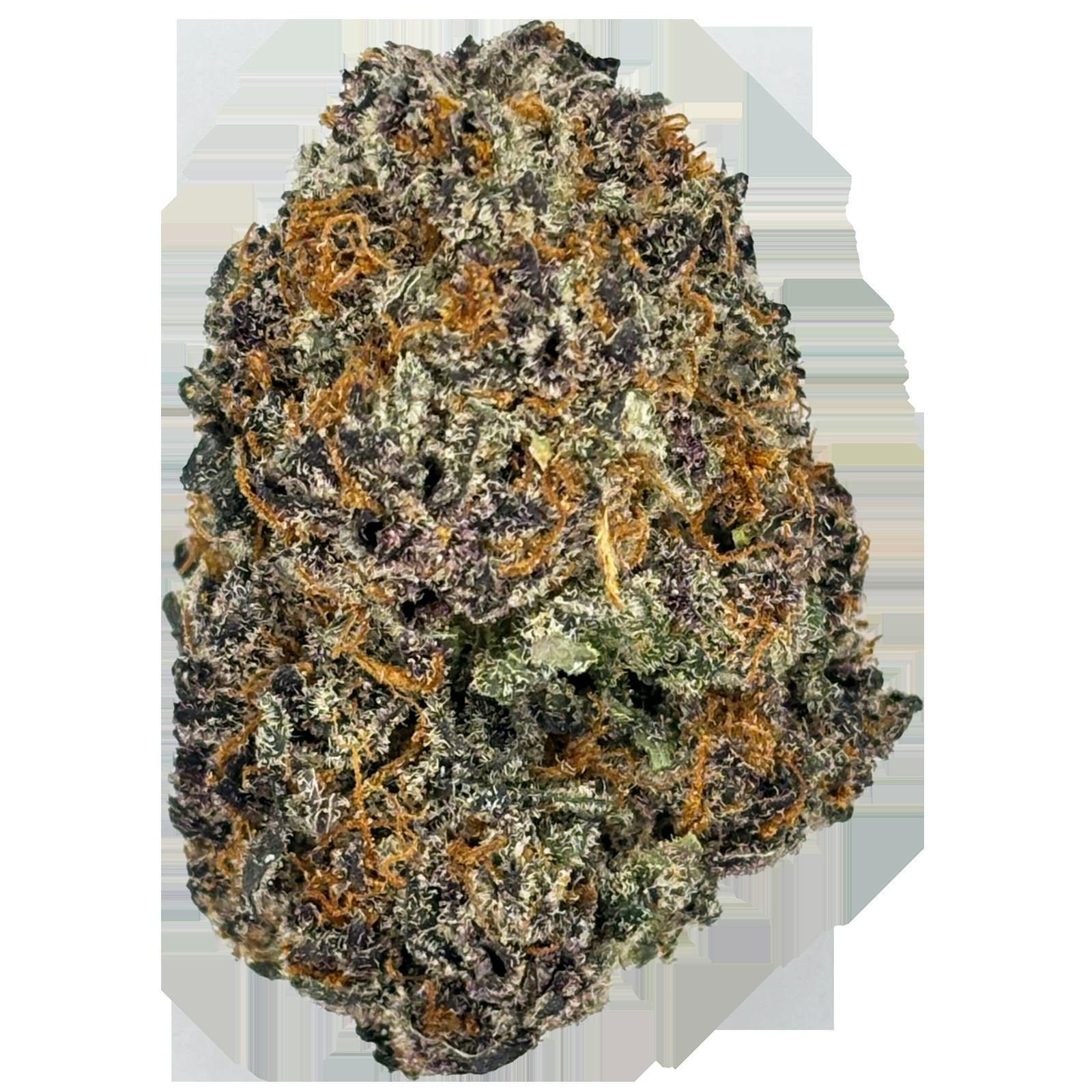 Glorious | Breakfast of Champions Bulk Flower