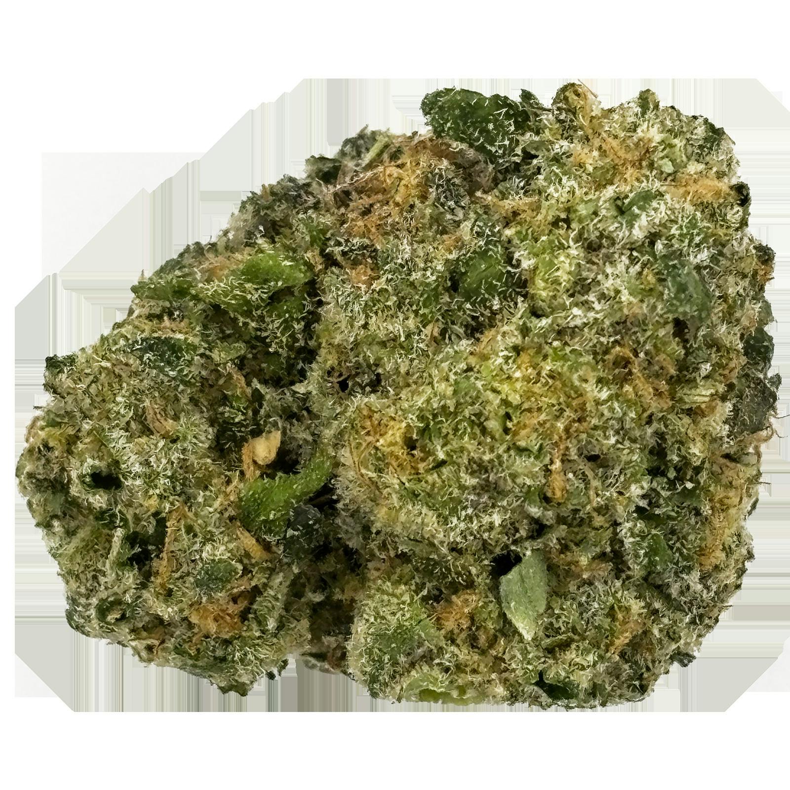 Purple Milk Bulk Flower