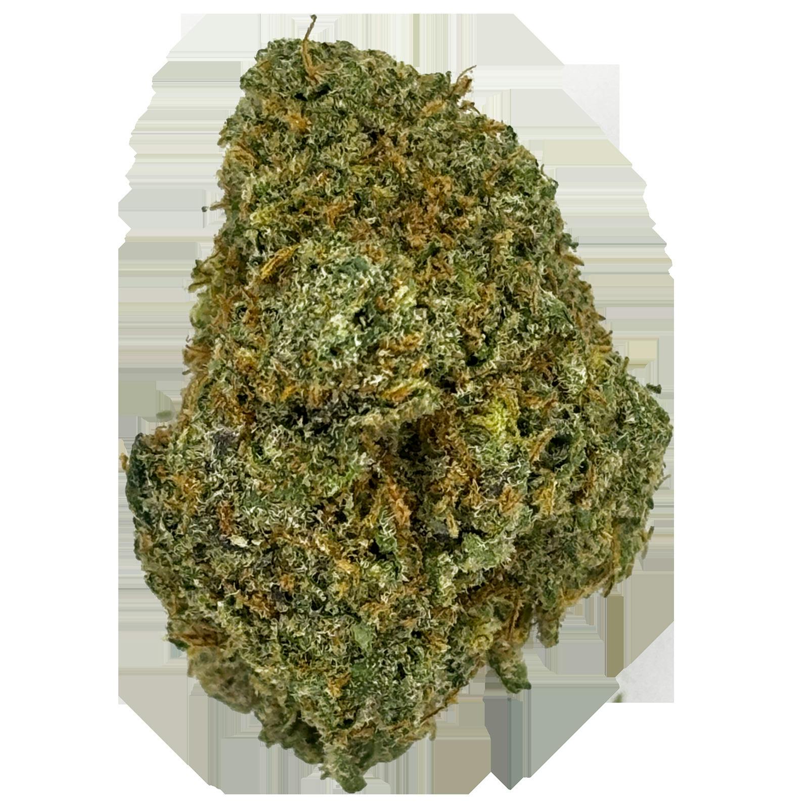Midzotics | Dark Web Bulk Flower