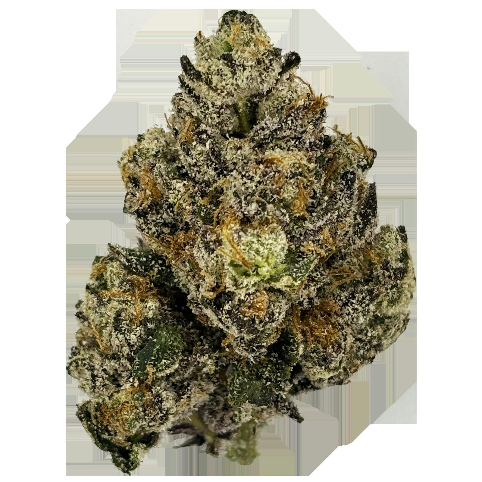The Hempire Collective | Gem Z Bulk Flower