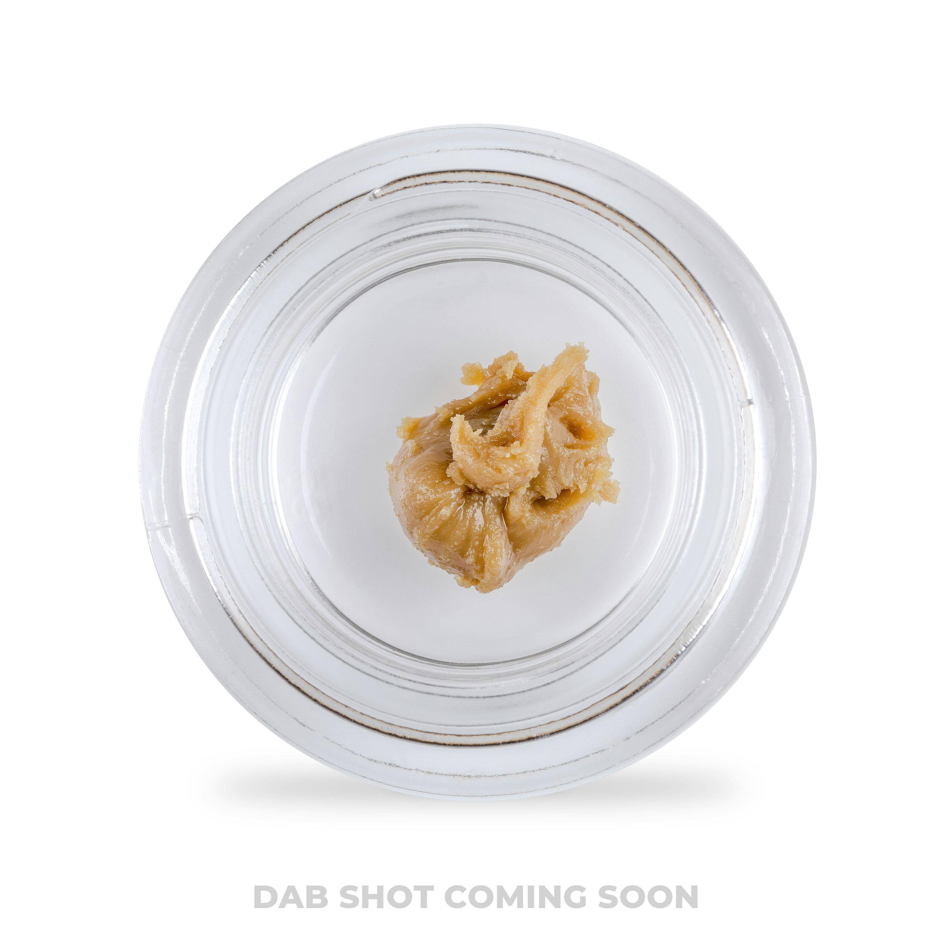 The Hive Live Rosin
