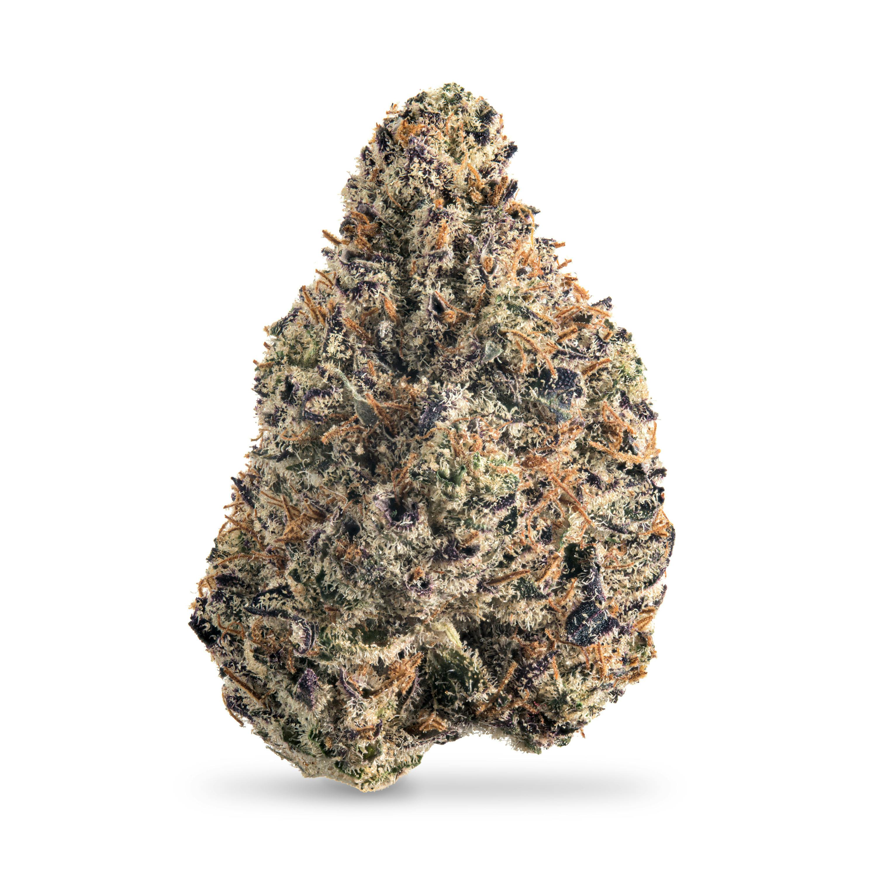Stuffed Cherry Gelato B Buds