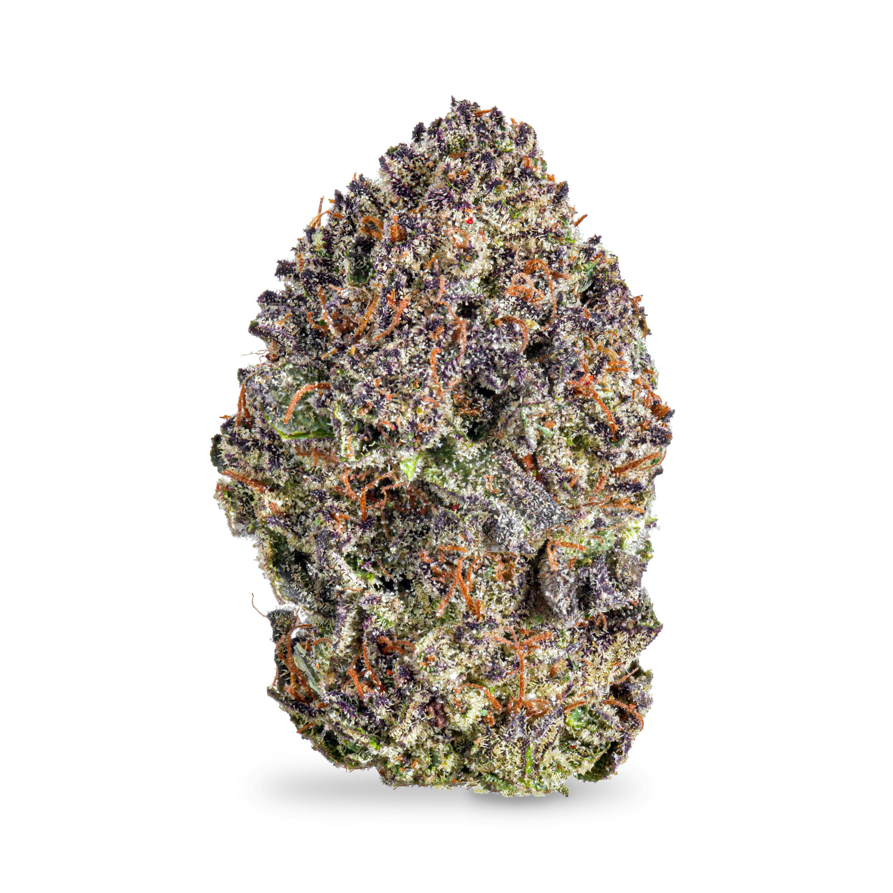 Lemon Cherry Gelato
