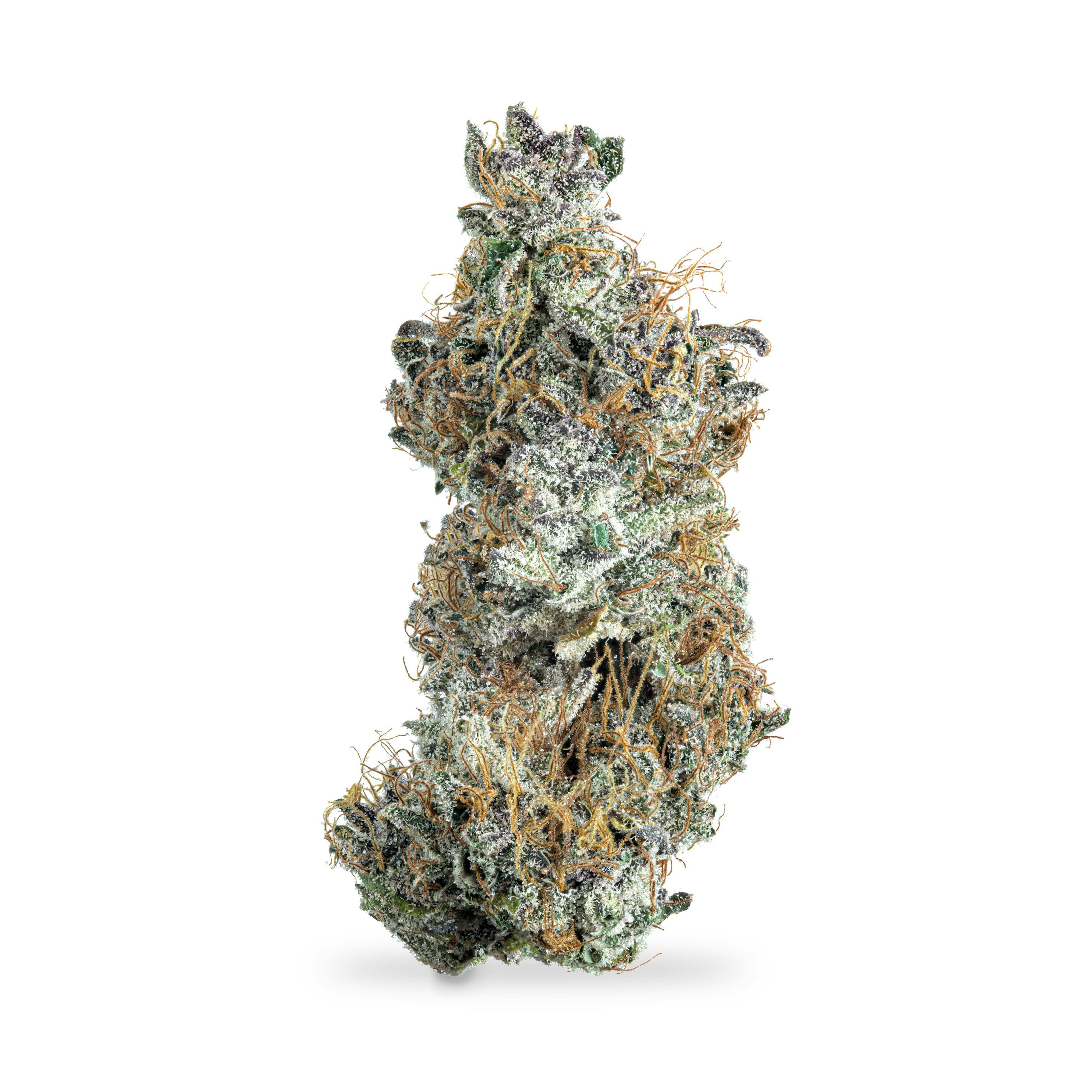 Garlic Fusion - Shake