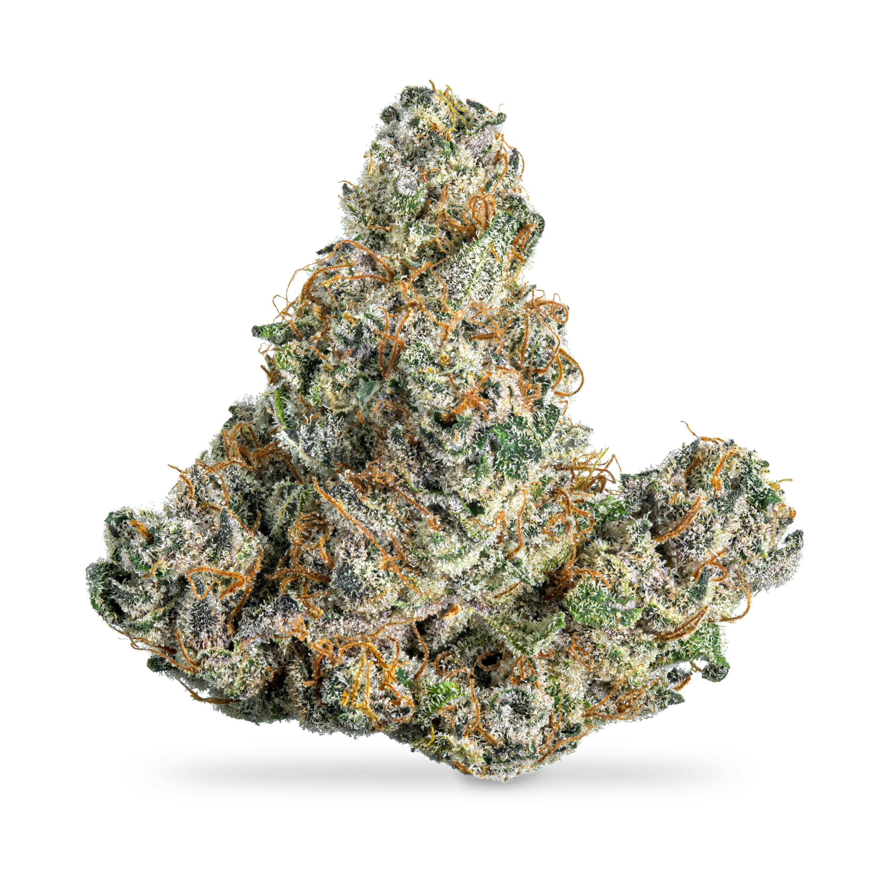 Blueberry Motor Oil - Shake