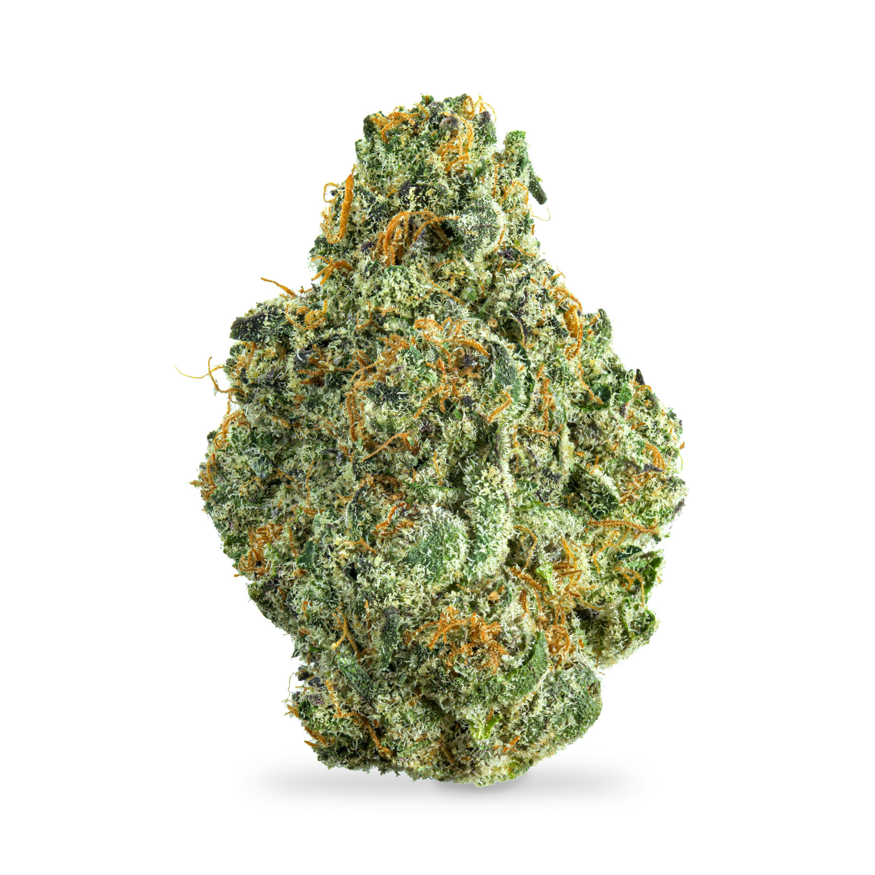 Jelly Cake B Buds