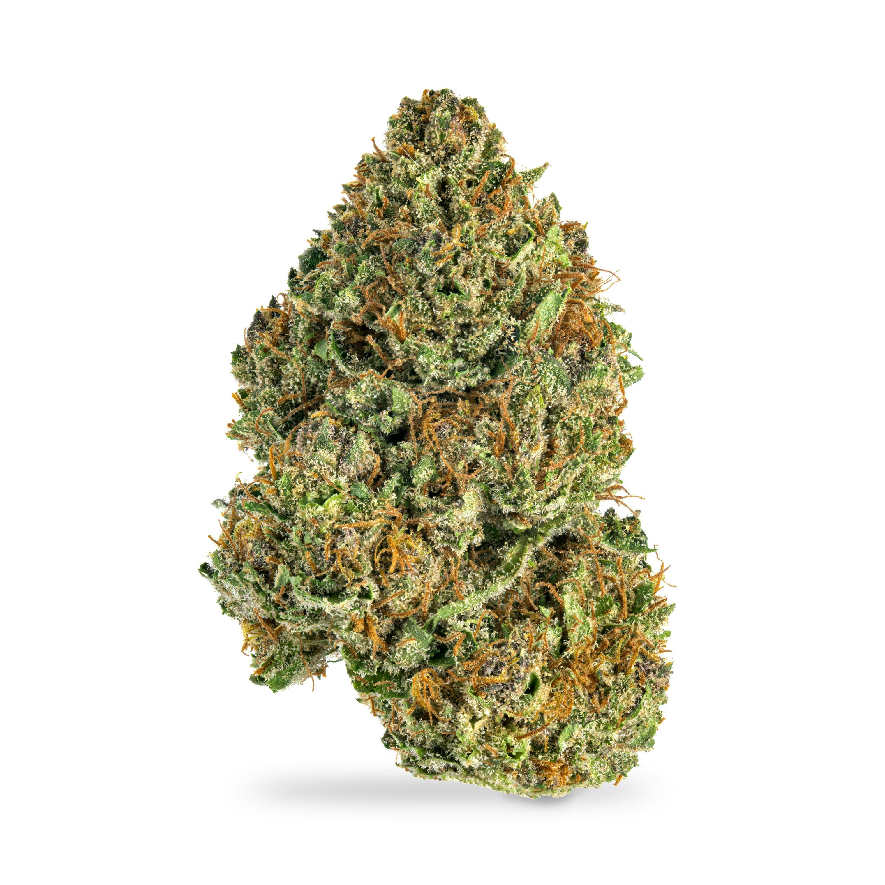 The Purps