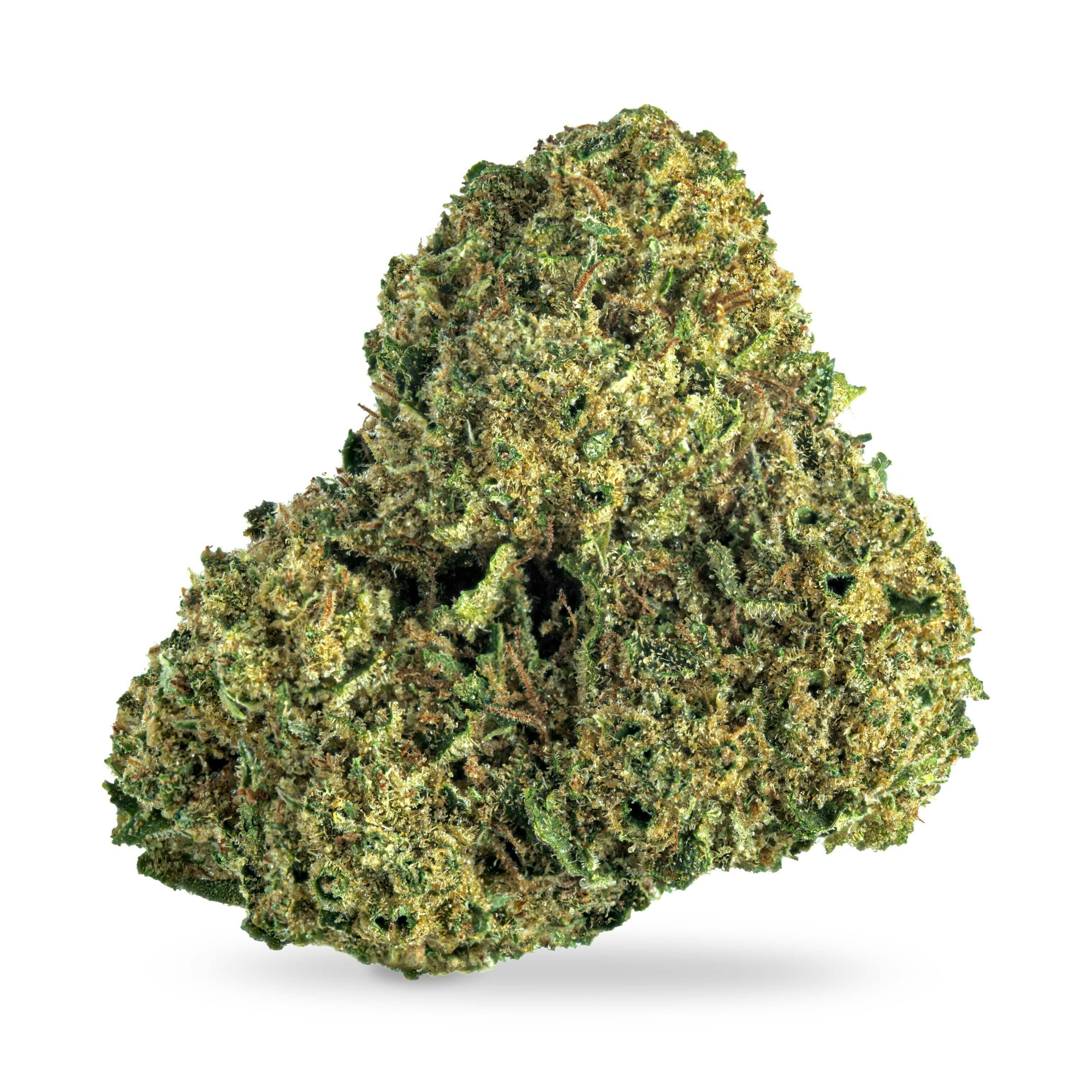 Kush Mintz x Sherbhead