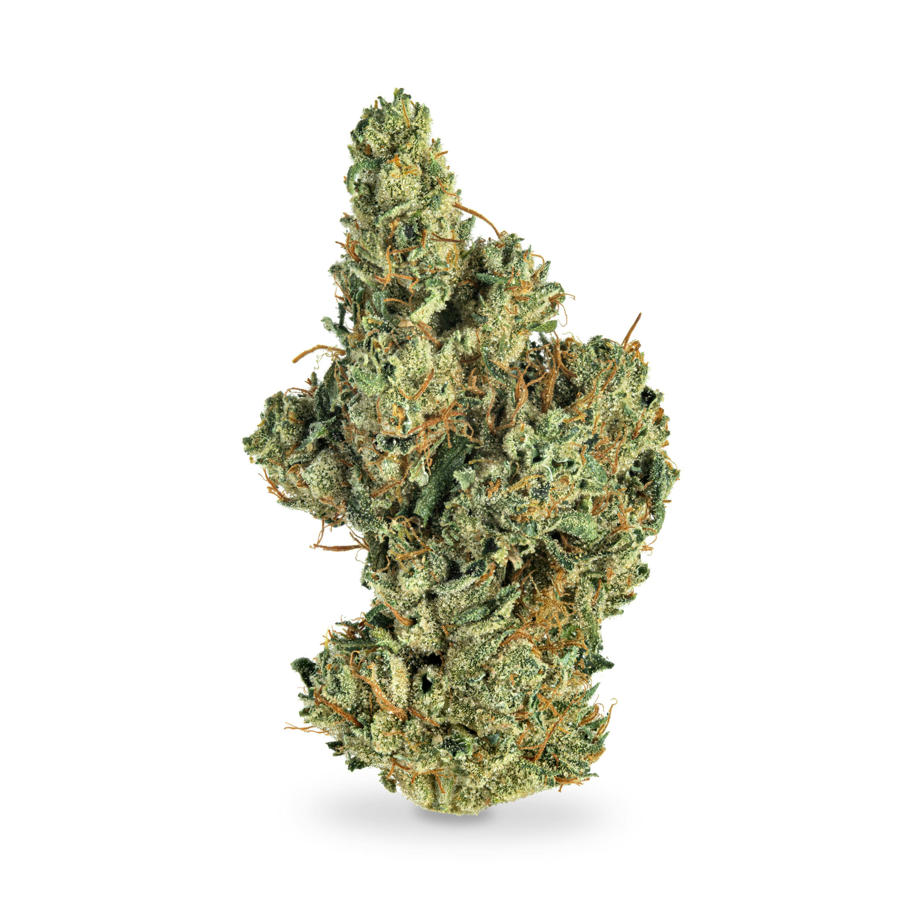 Chem De La Sour
