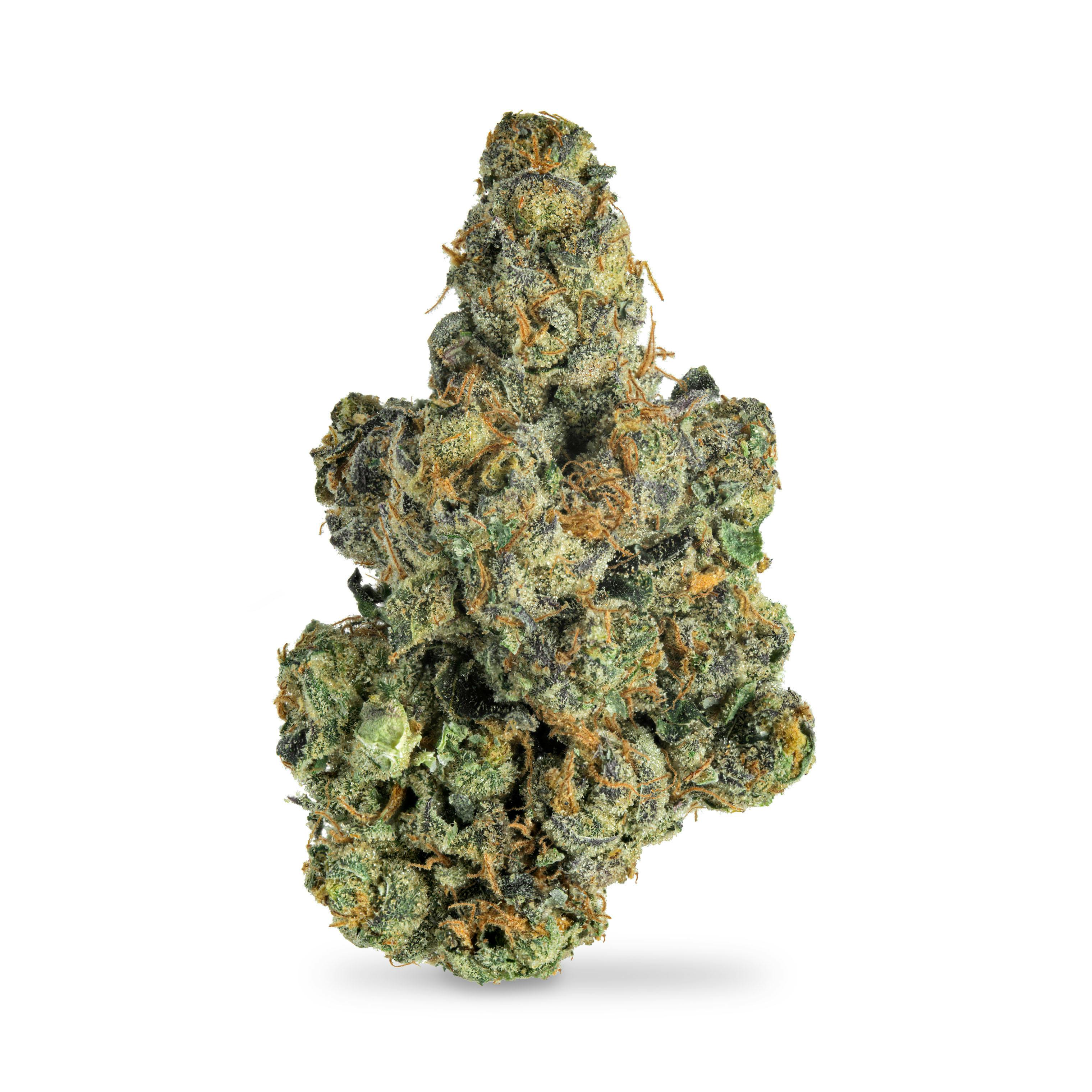 Slam Dunk Skunk