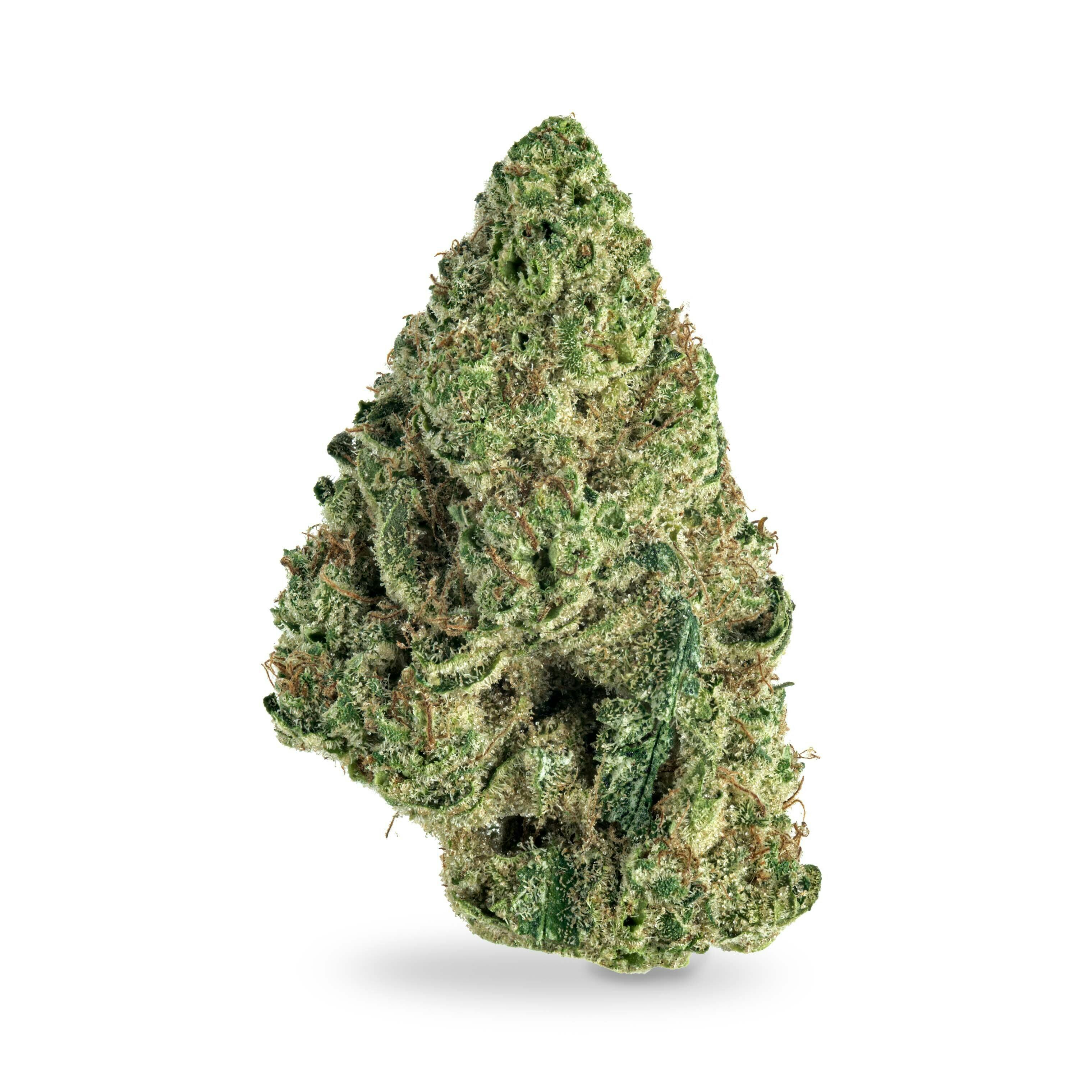 Mimosa Cookies