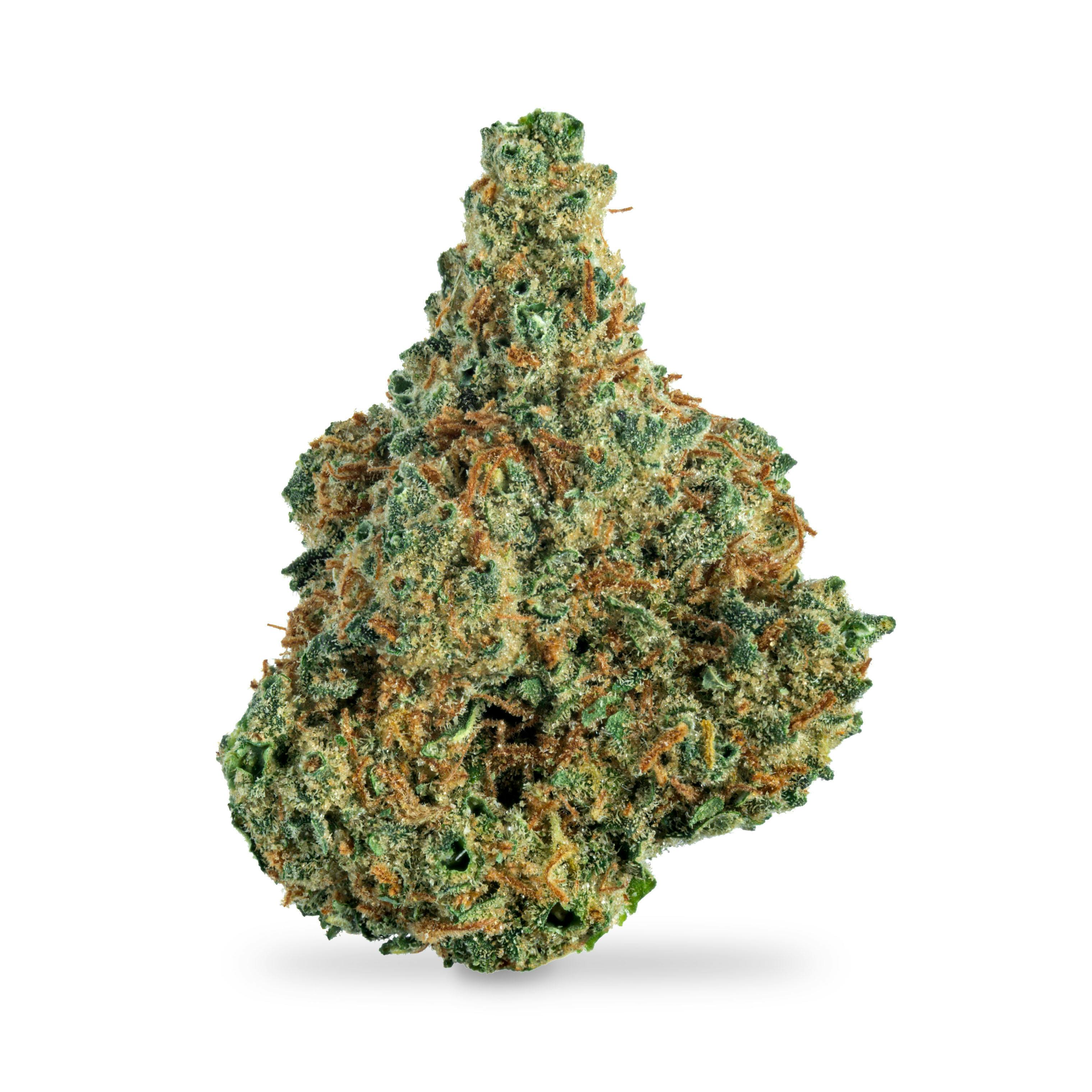 Utopia Haze