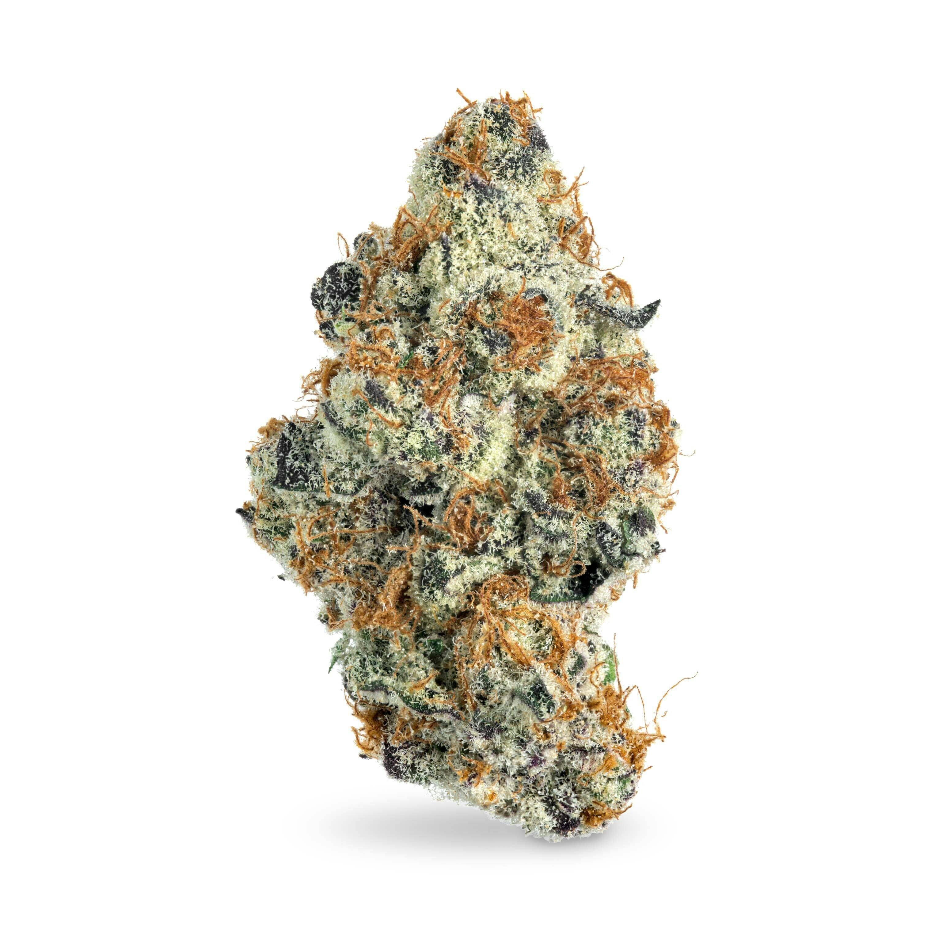 Astronaut 24