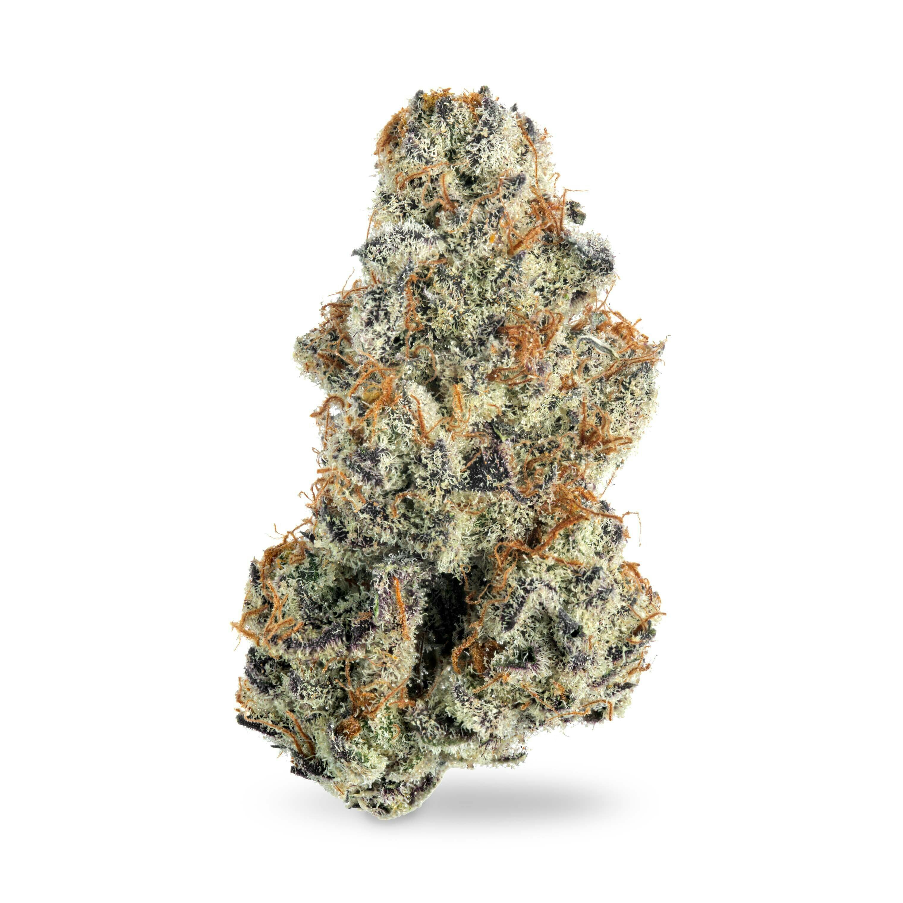 Snow Cane