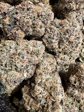 Crunch Berries | Concrete Cultivation
