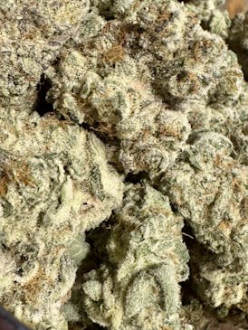 Black Widow Cake | Up North Gardens