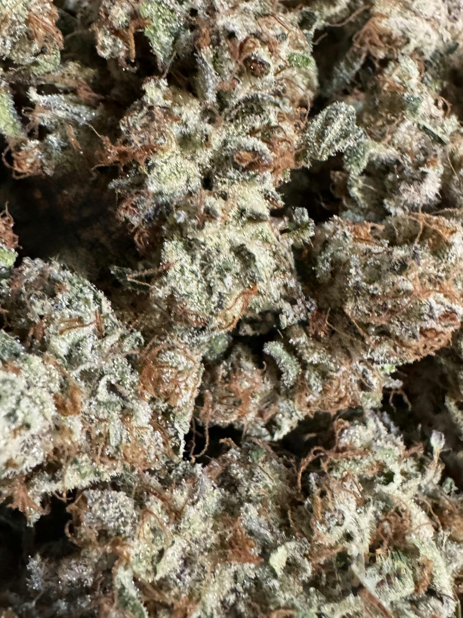 Bubblegum River | Brazen Earthworx at Herbal Remedies of Maine