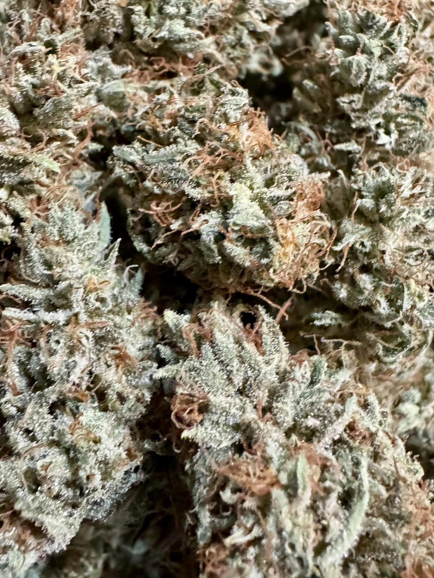 Pineapple Piff | Lobster Fam Farms at Herbal Remedies of Maine