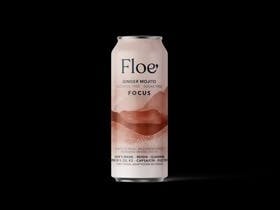 FOCUS - Functional Mushroom (Adaptogen) Beverage | Floe Seltzers at Herbal Remedies of Maine