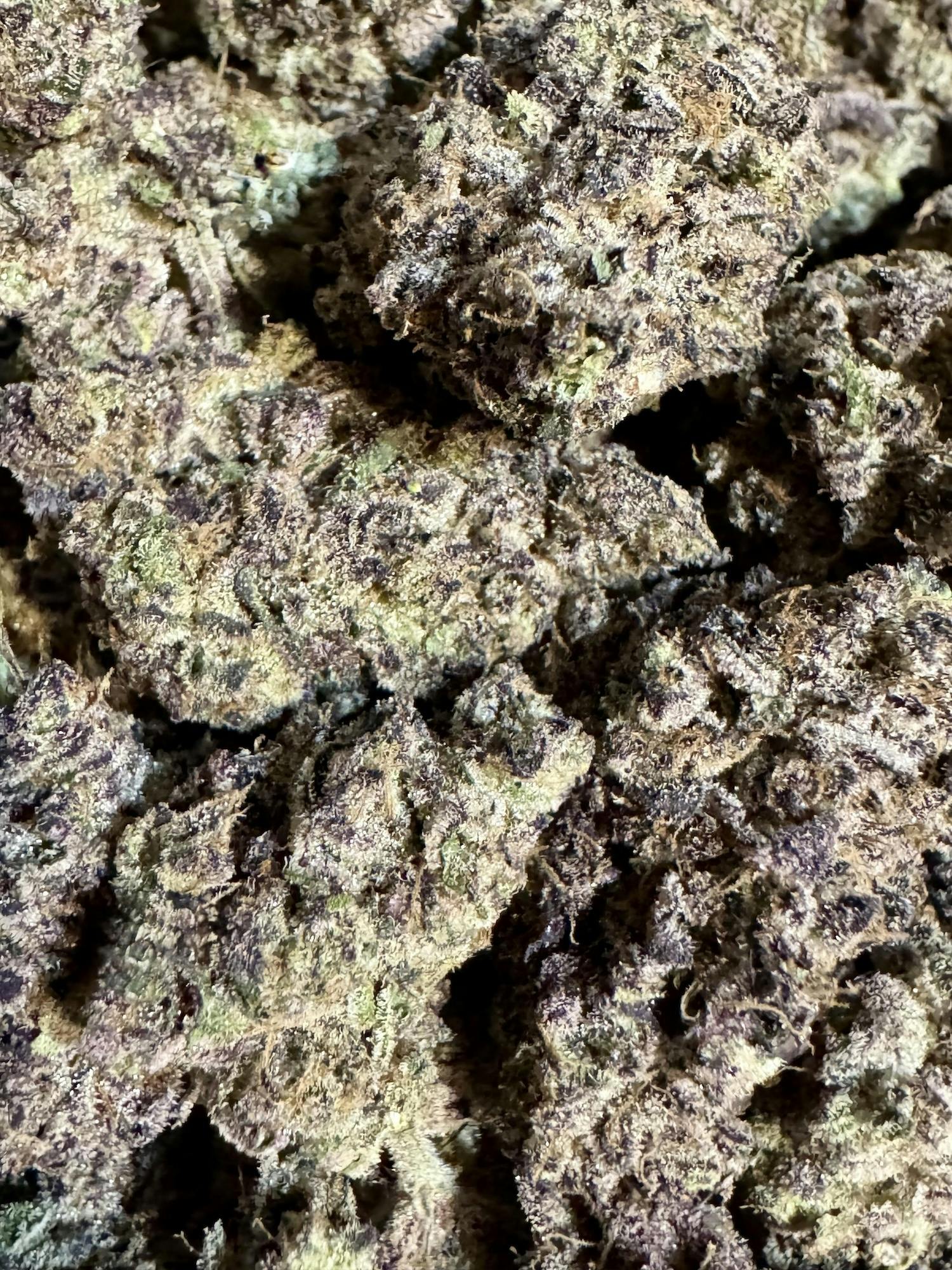 Super Lungs #7 | The Lone Tree at Herbal Remedies of Maine