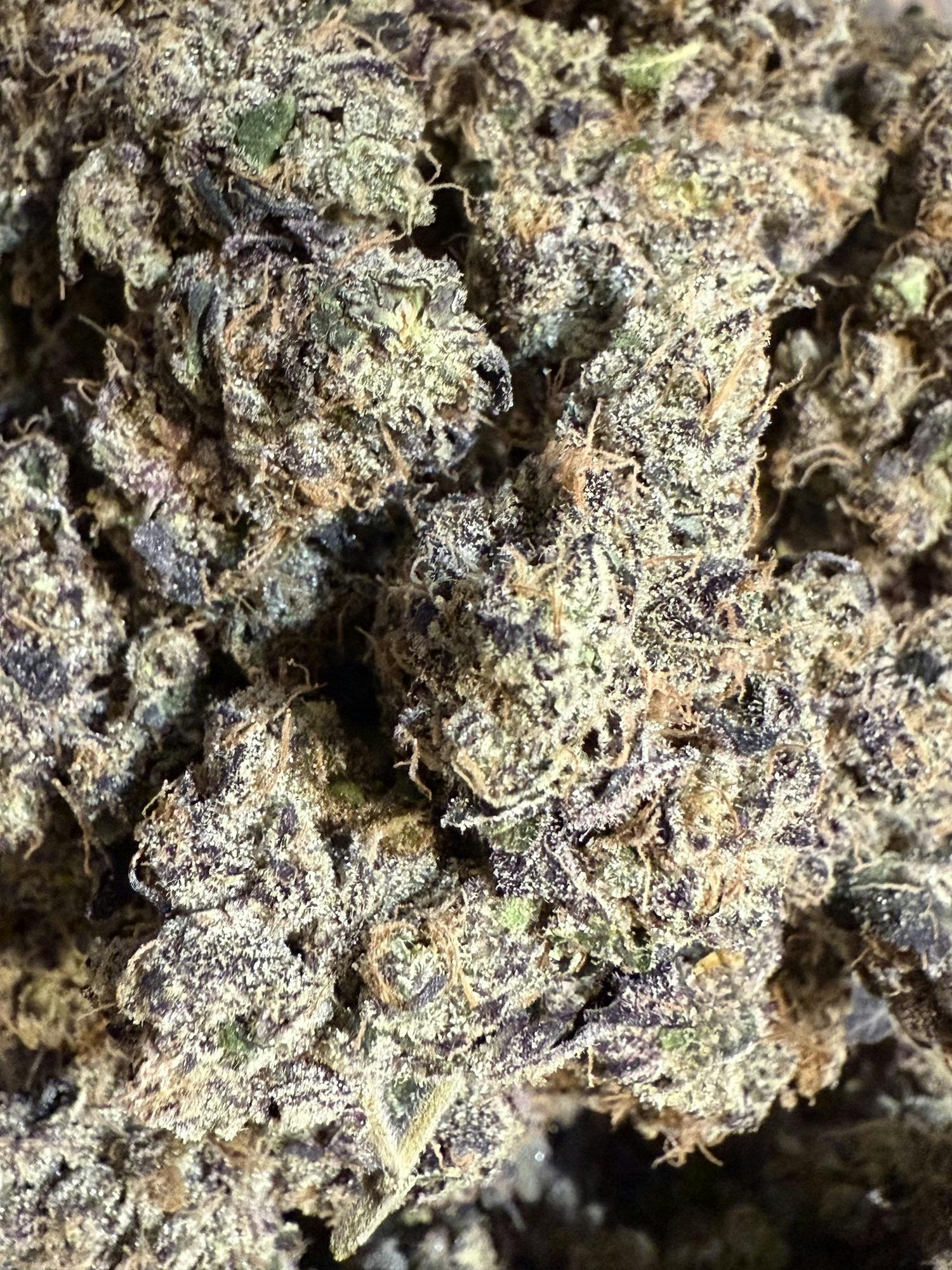 Indigo Sour | The Lone Tree at Herbal Remedies of Maine