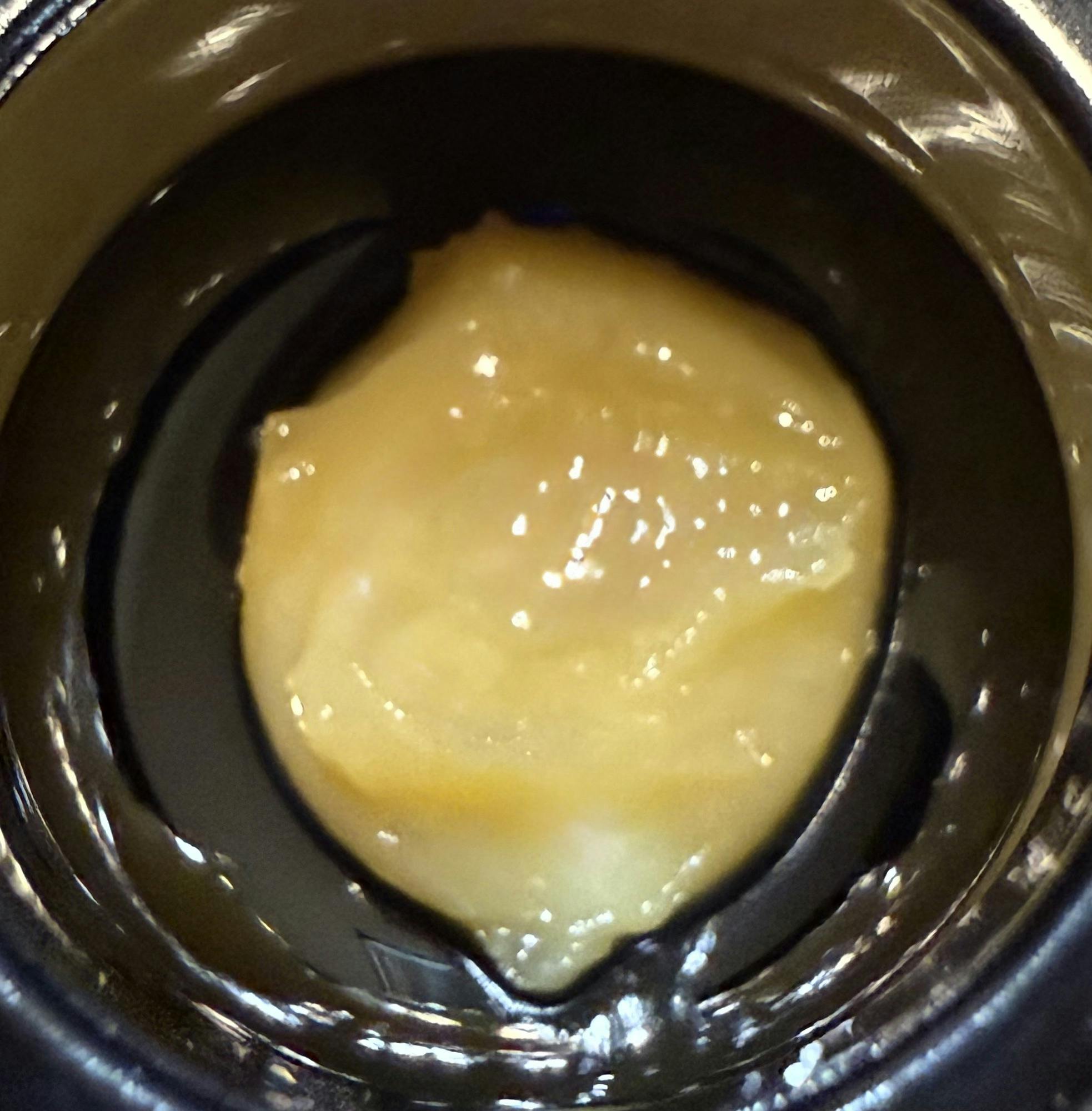 Kosher D Live Rosin | Blackwood Cultivation