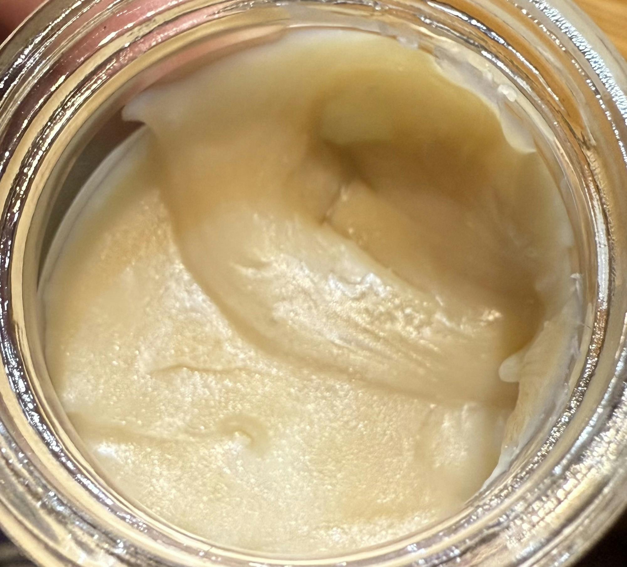 GMO Reserve | Seymour Terps