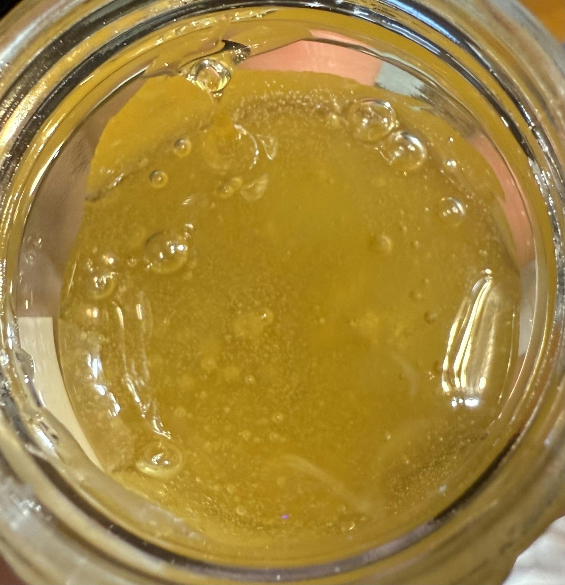 Out Doughs (Dolo) Reserve | Seymour Terps