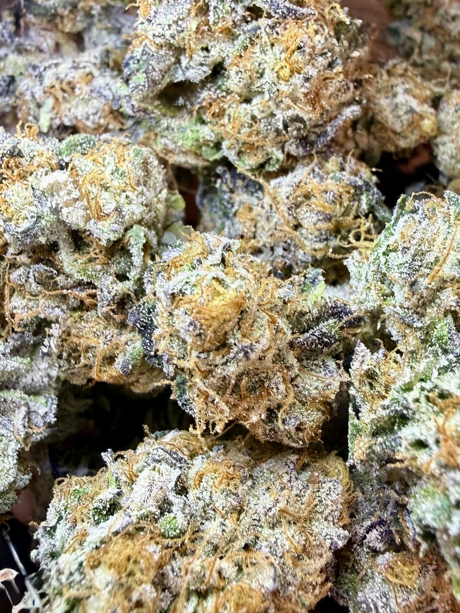 Cadillac Rainbows | Stony Brook Organics at Herbal Remedies of Maine