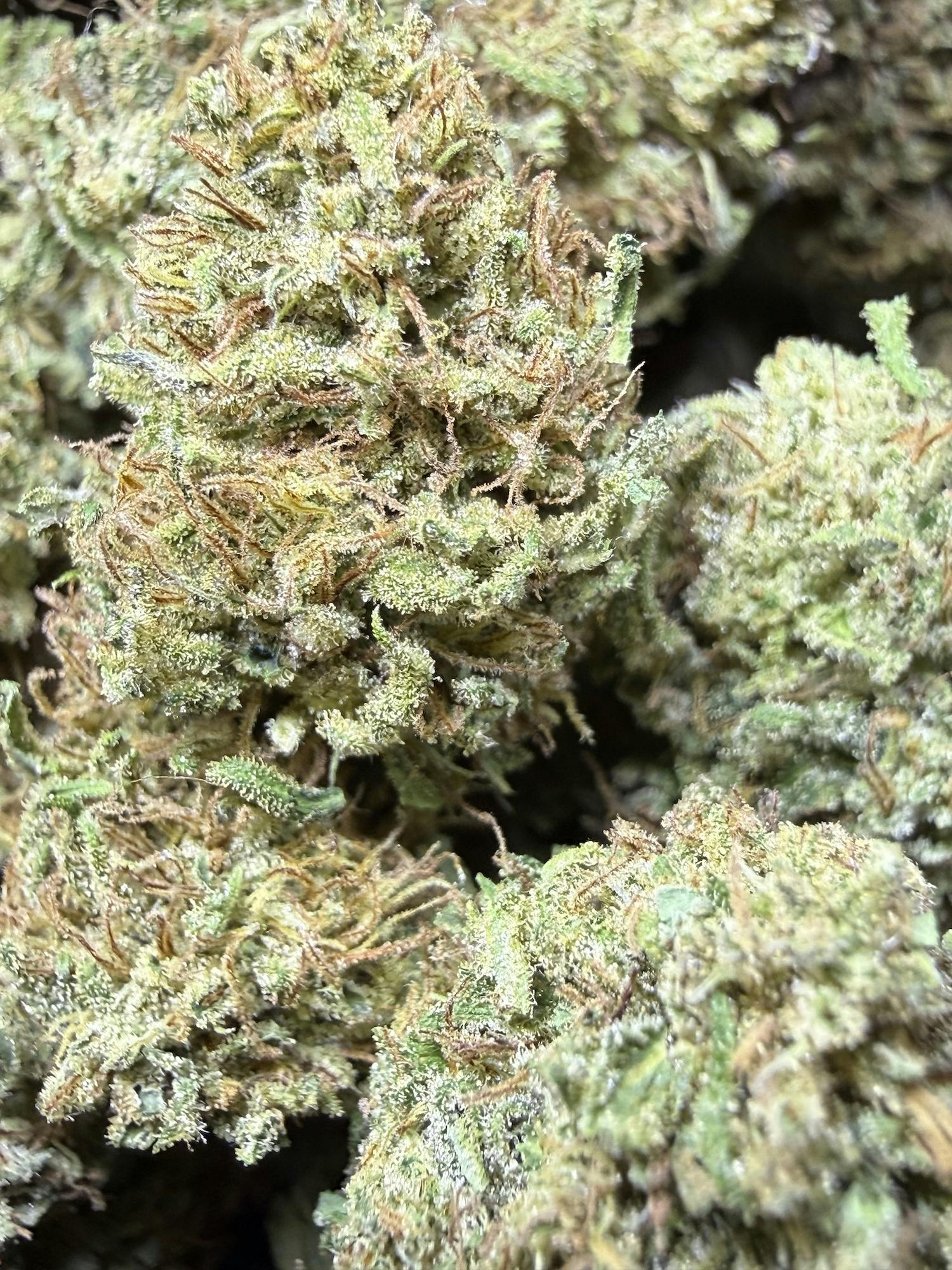 Hawaiian Haze | CBD Flower | Rooted Heart cannabis product