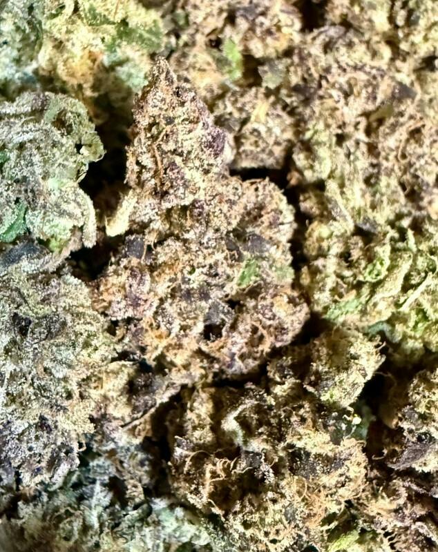 Headbanger | The Lone Tree at Herbal Remedies of Maine
