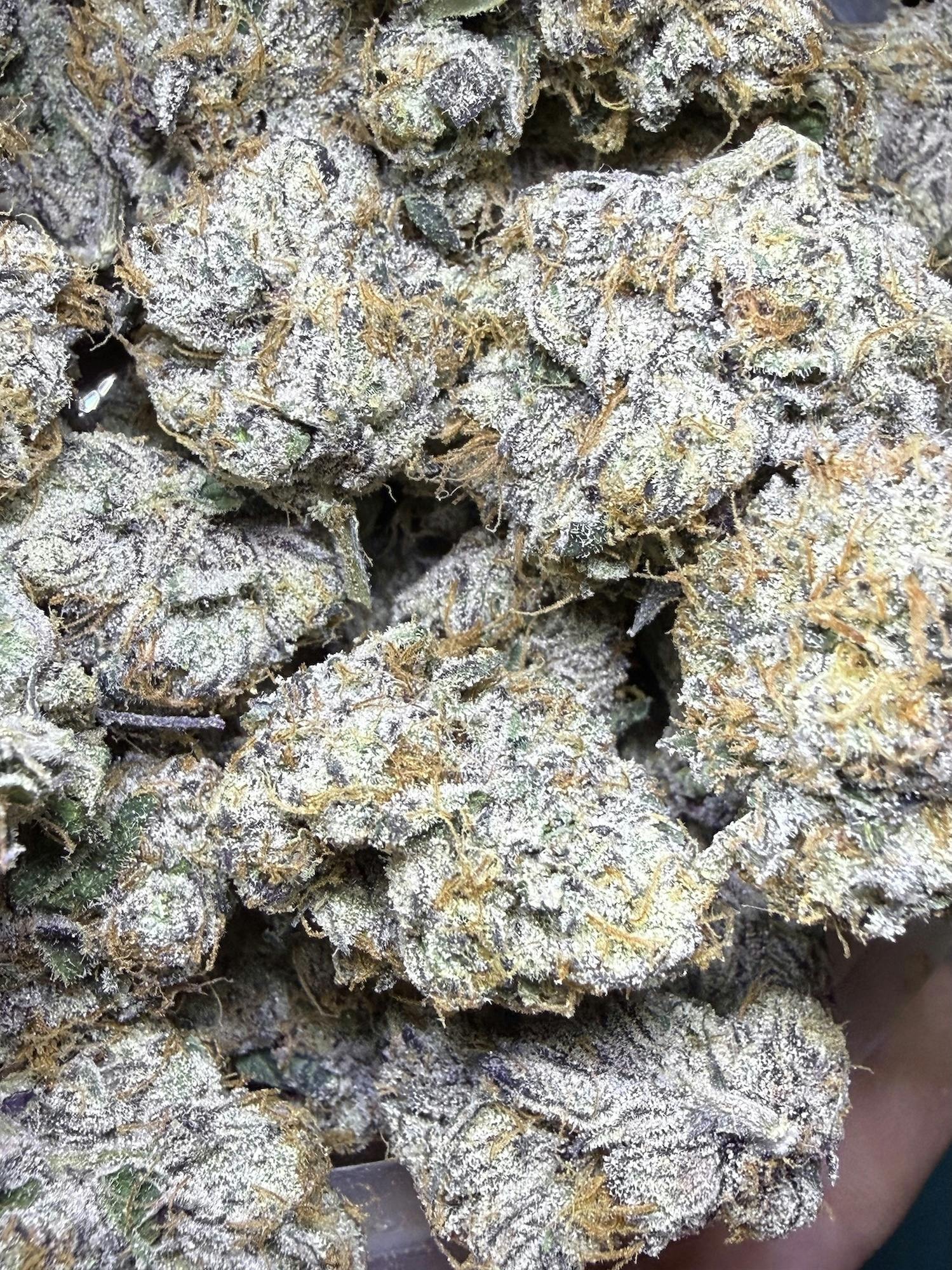 Runtz | Good Life Gardens at Herbal Remedies of Maine