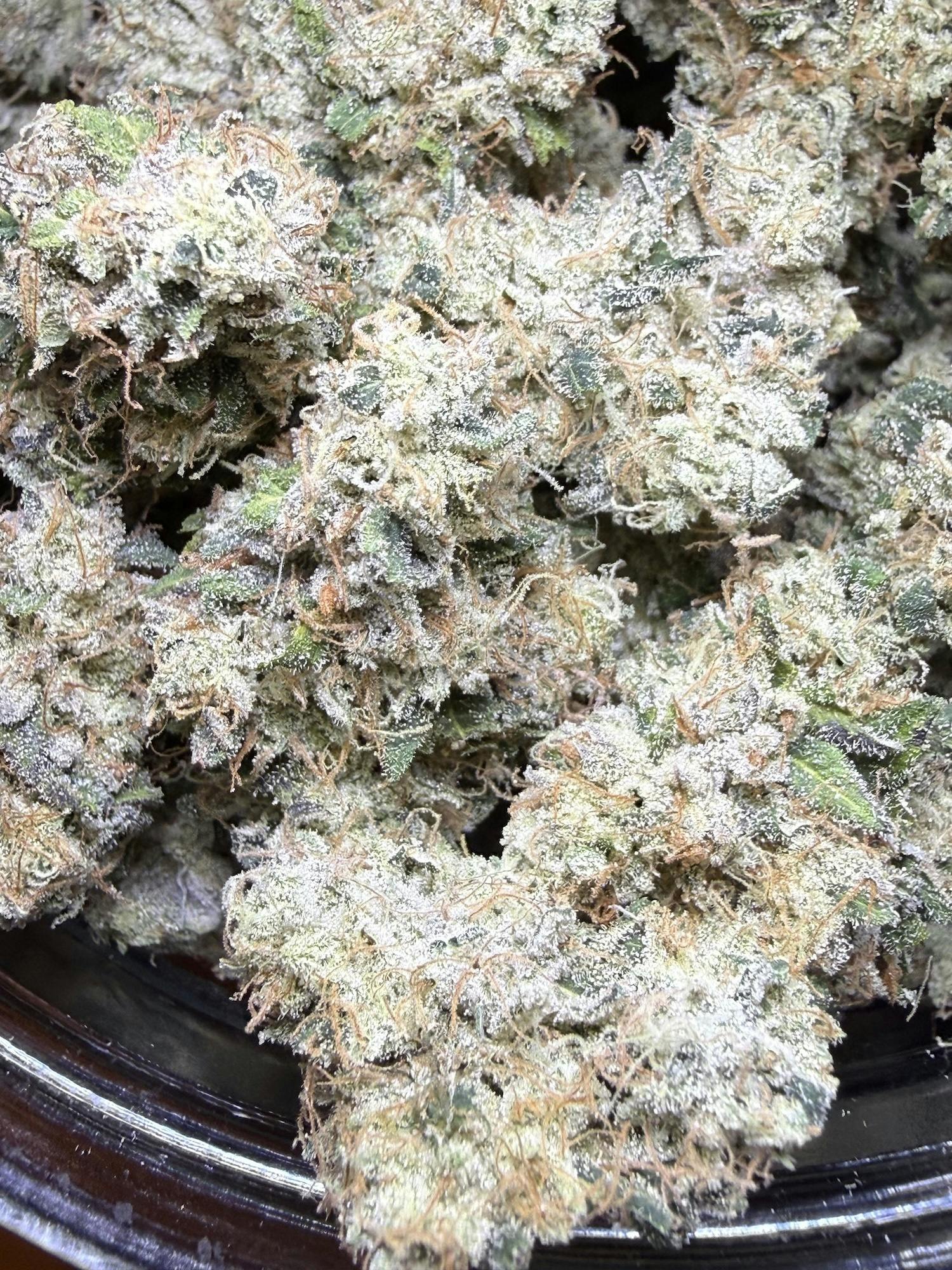 Bioflux | Third Shift Resin at Herbal Remedies of Maine