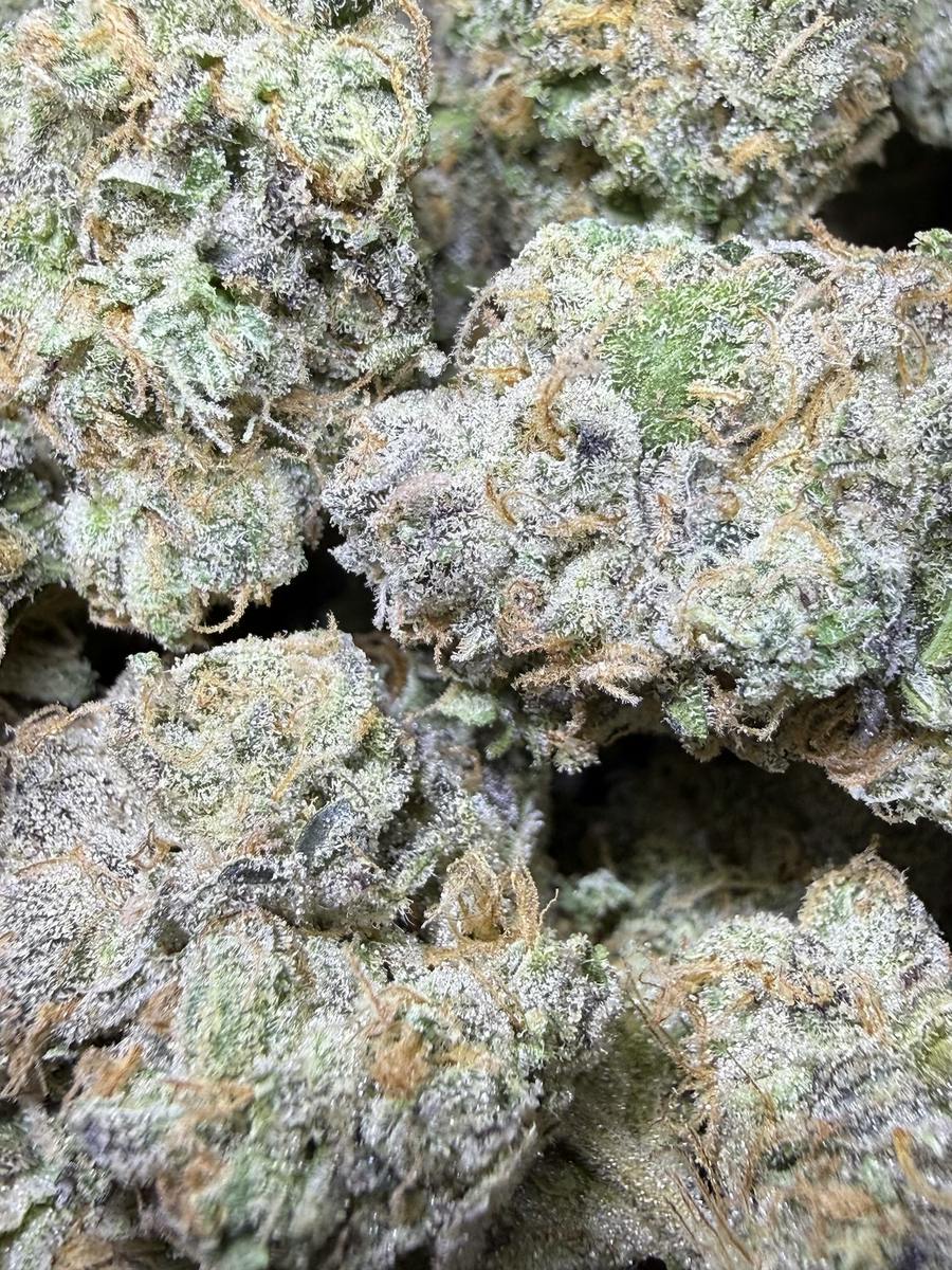 Laughing Gas | Best Friend Farms at Herbal Remedies of Maine