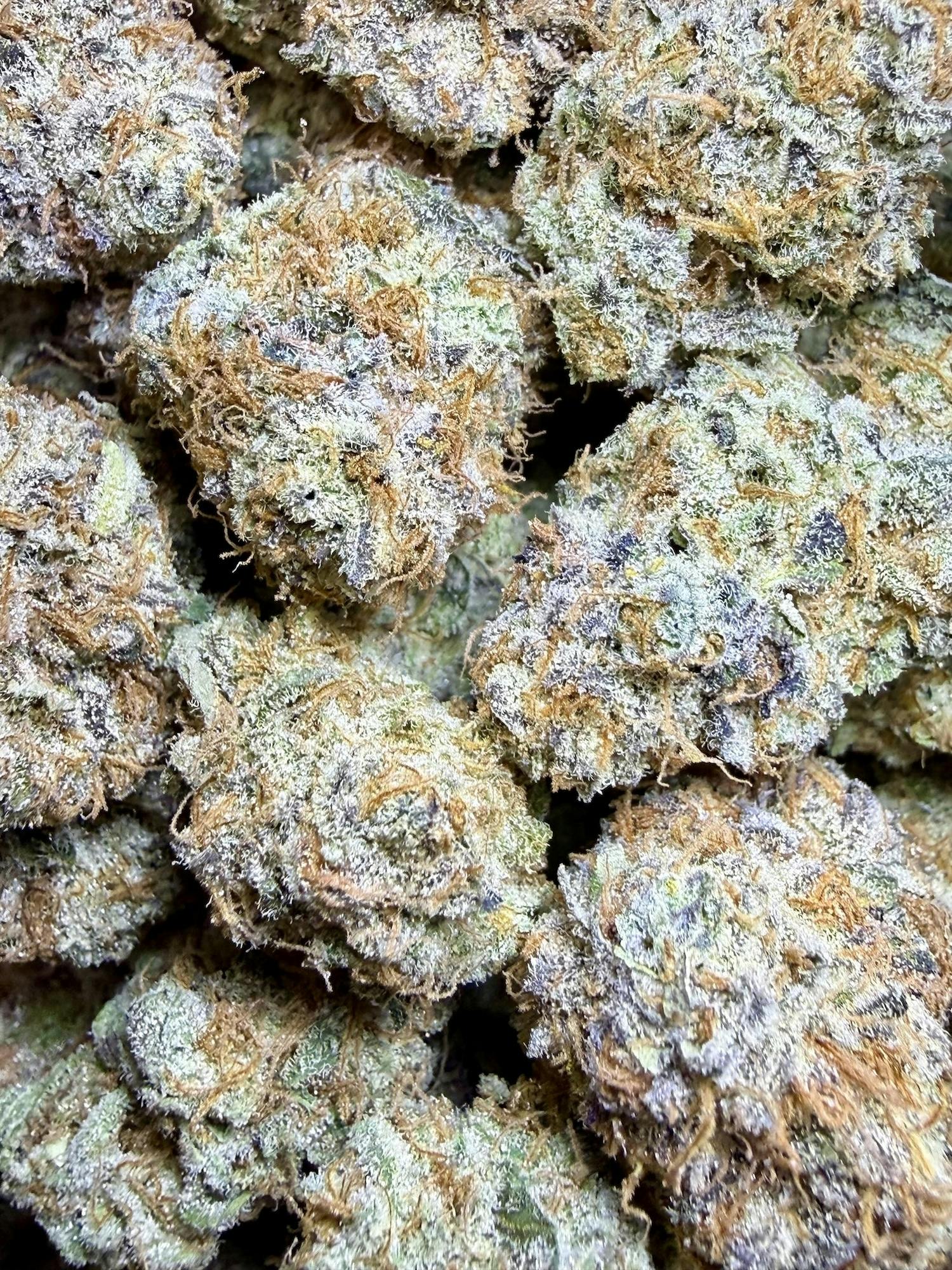 *STRAIN OF THE WEEK* Honey Donut | Unicorn Tears at Herbal Remedies of Maine