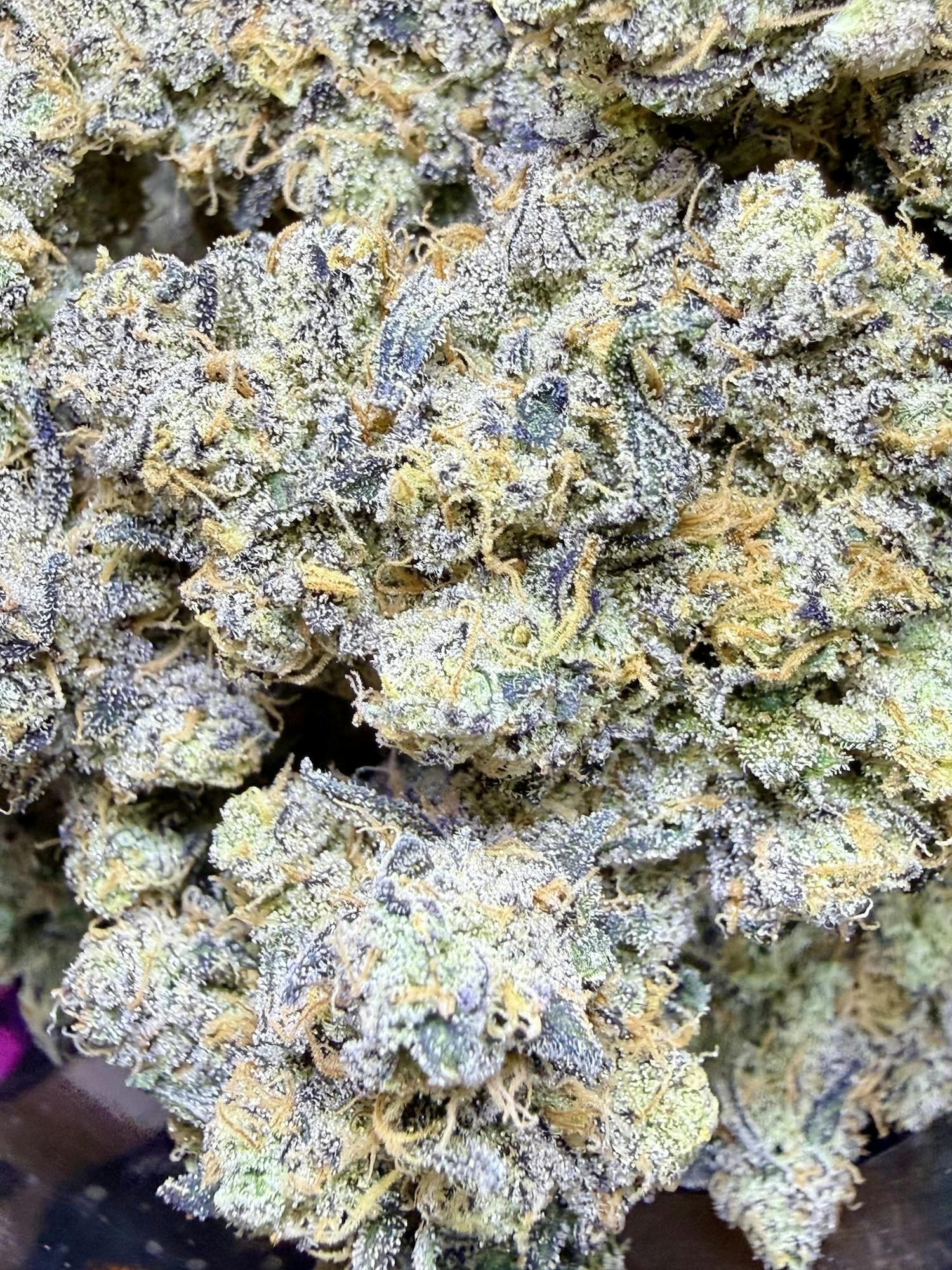 Spritzer | Good Life Gardens at Herbal Remedies of Maine