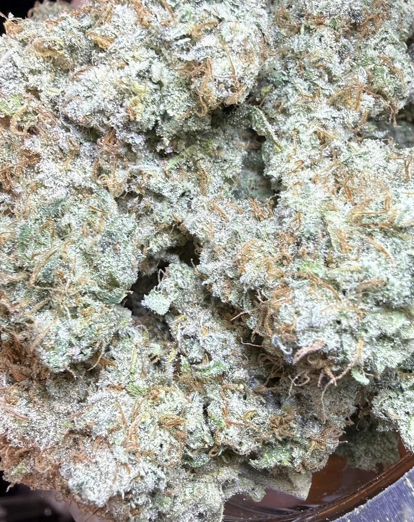Hawaiian Dream #6 | Terra Horta at Herbal Remedies of Maine
