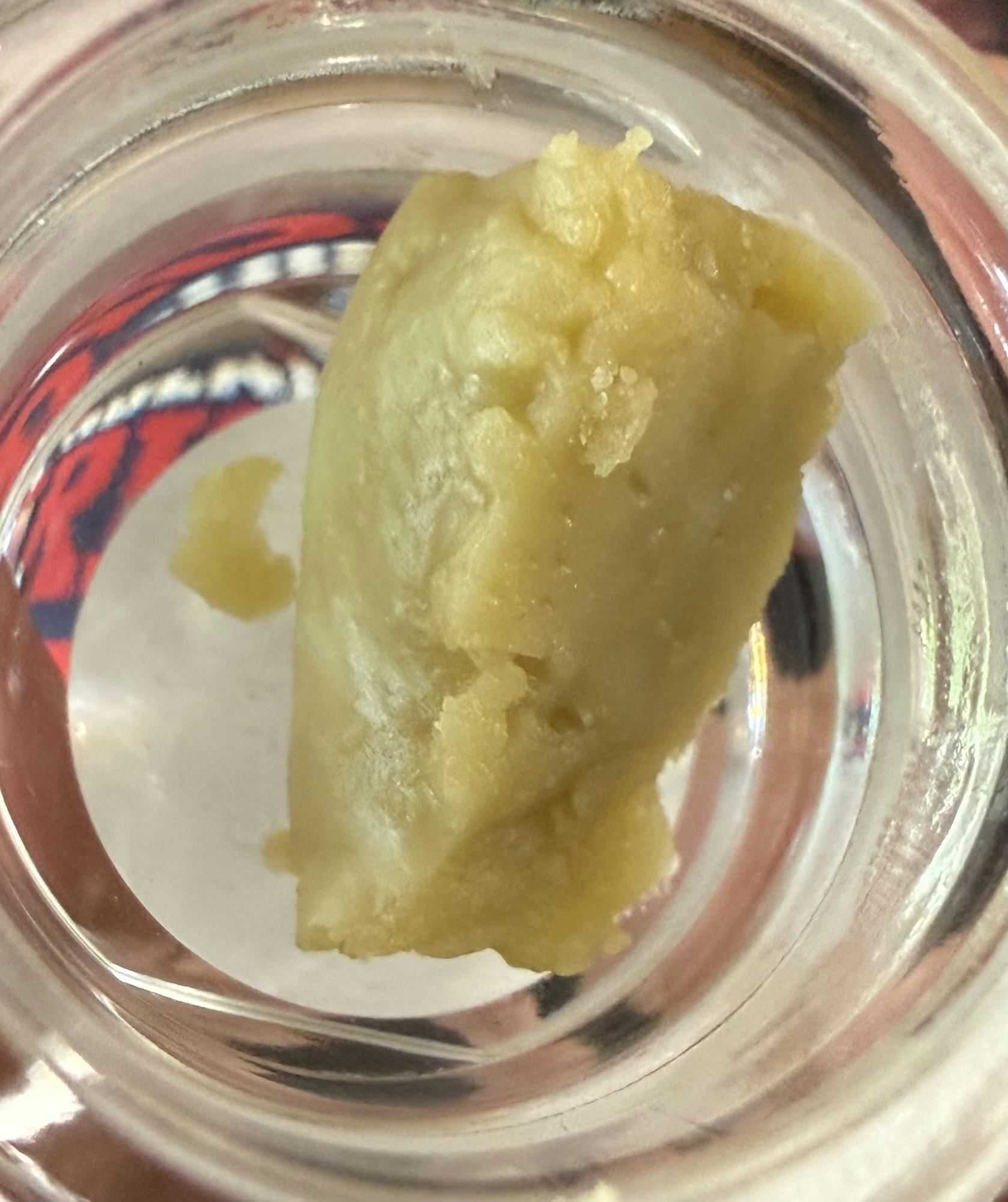 Citrus Glow | Best Friend Farms