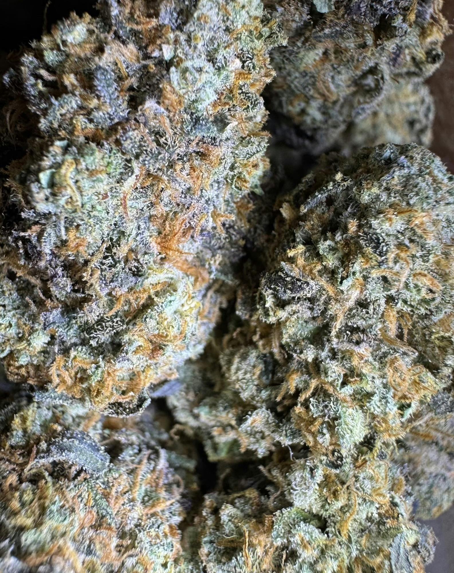 RS11 | Essential Maine at Herbal Remedies of Maine