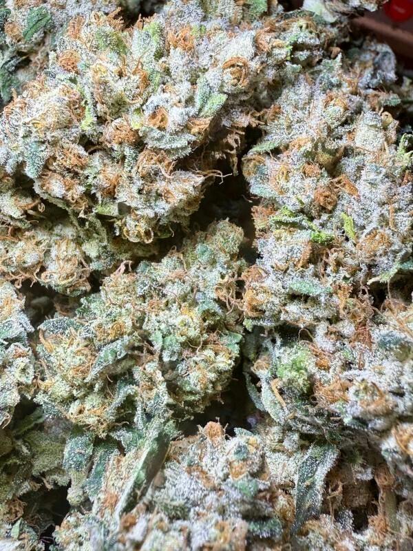 GG4 | Unicorn Tears at Herbal Remedies of Maine