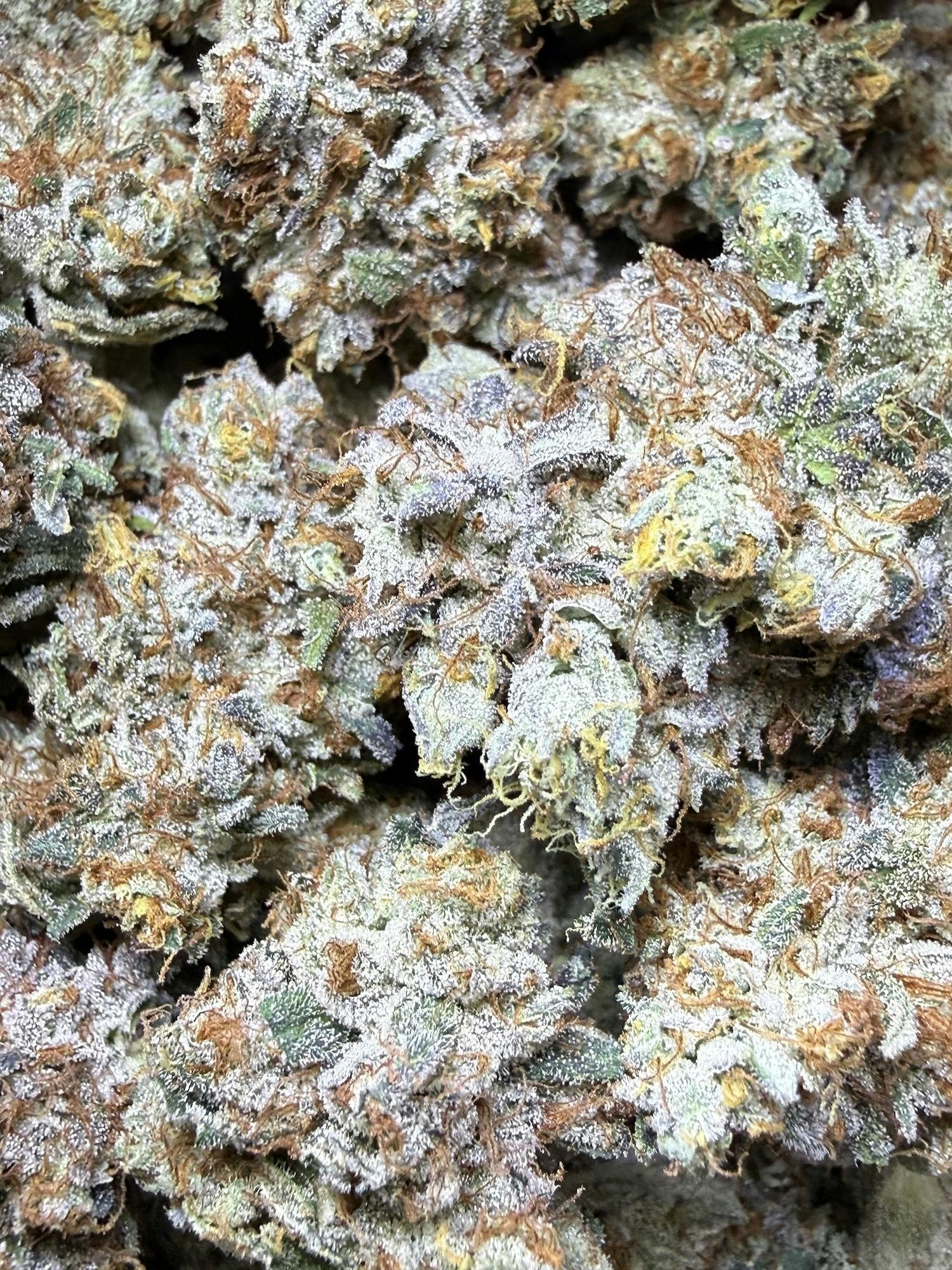 Alien OG | Small Barn Farm at Herbal Remedies of Maine