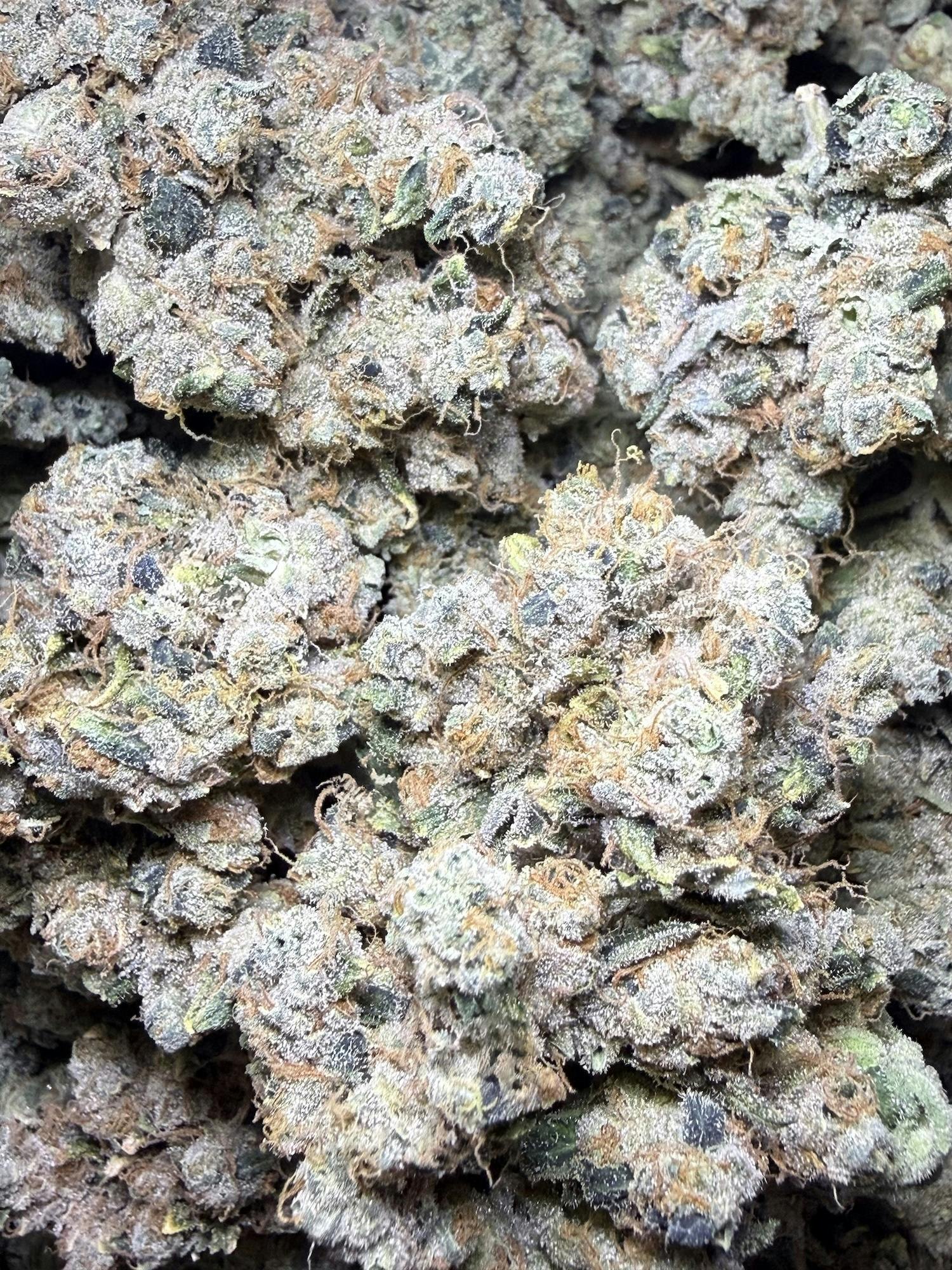 Chem 51 | Honey Sticks Genetics at Herbal Remedies of Maine