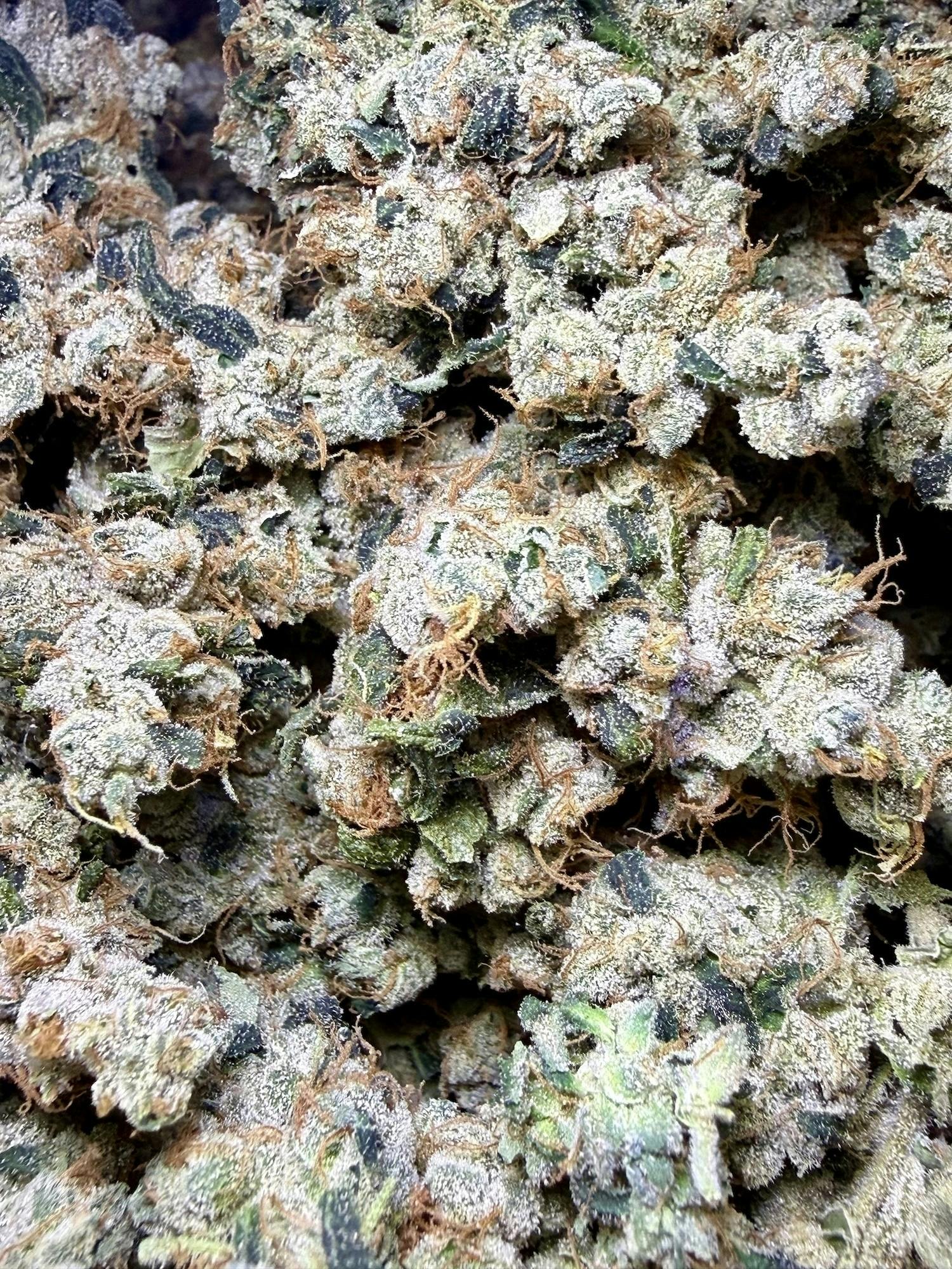 Triple Double | Honey Sticks Genetics at Herbal Remedies of Maine
