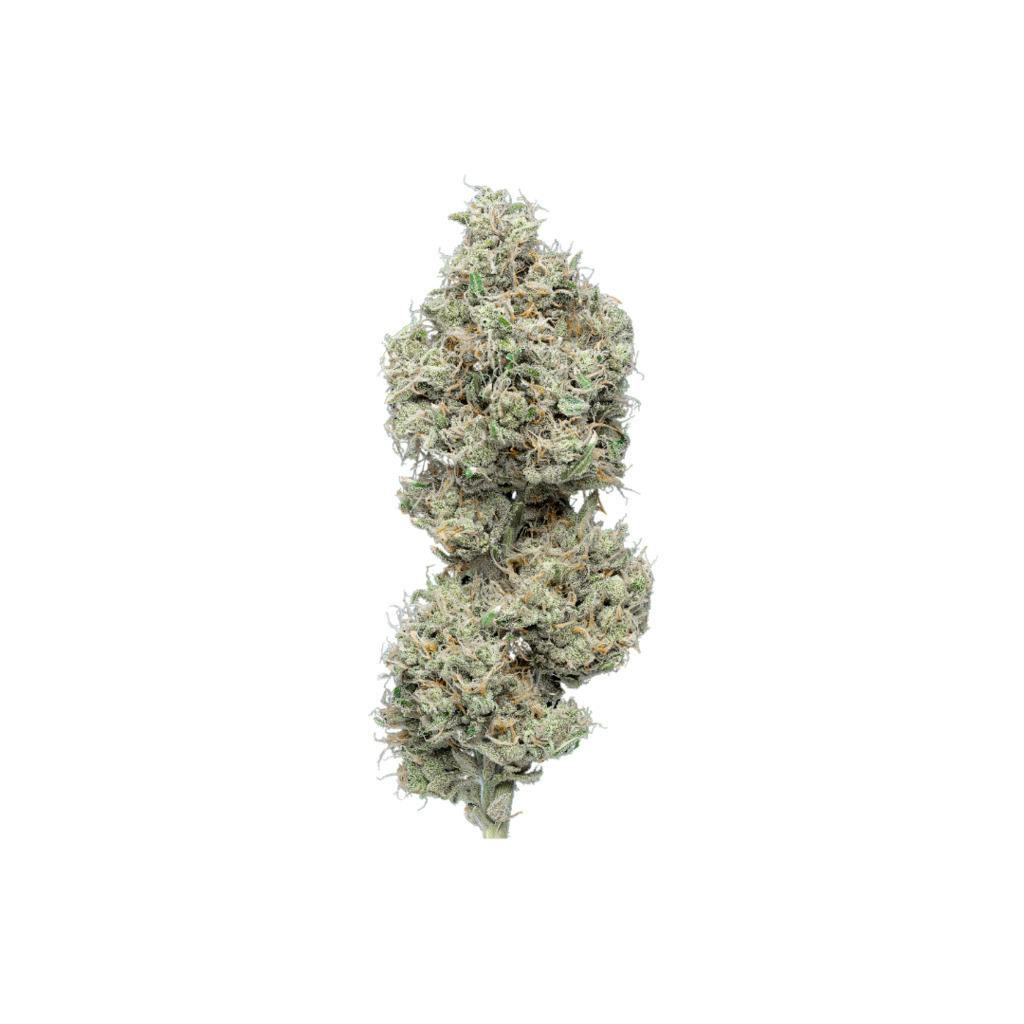 Green Dot Labs Dali 7 g