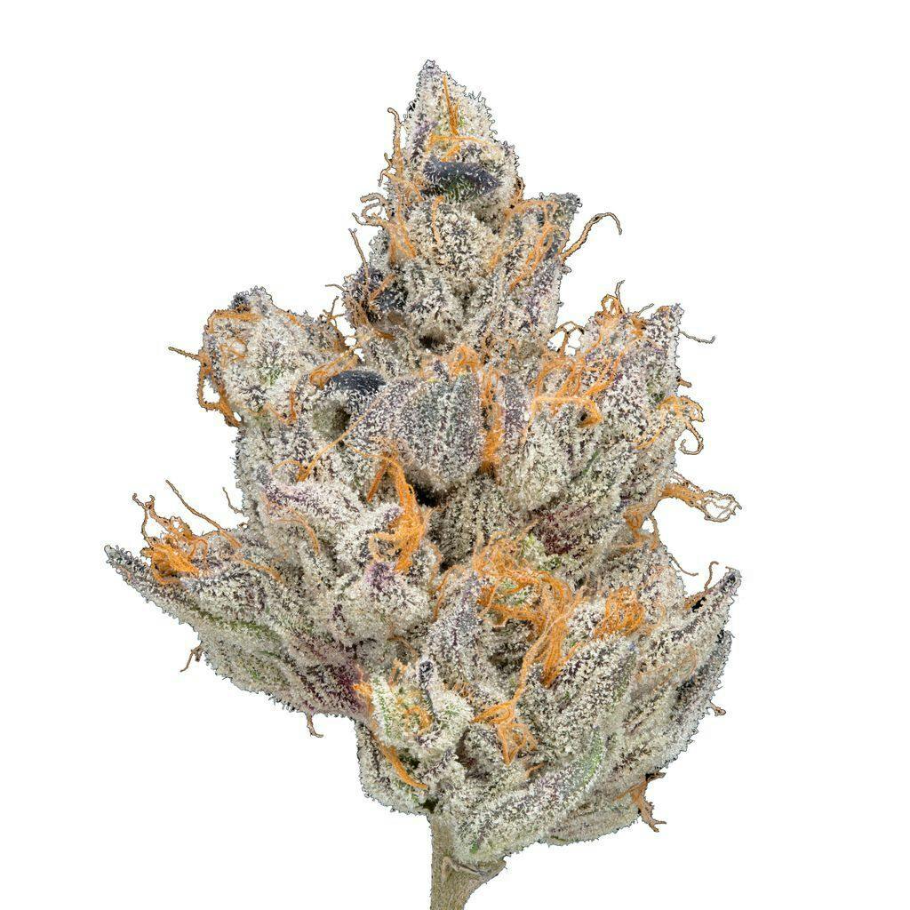 Green Dot Labs Red Froot 3.5 g