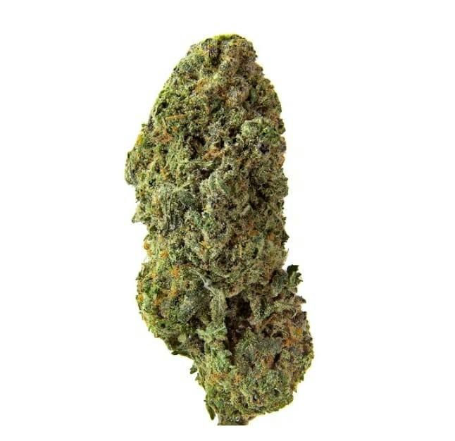 Homestead | BANDWAGON SATIVA ROTATIONAL | 28g