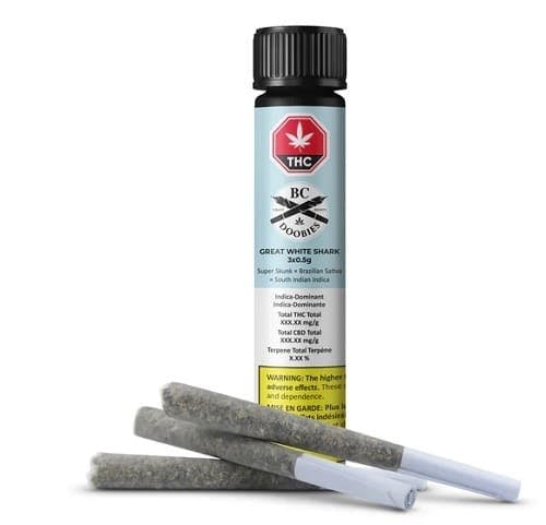 GREAT WHITE SHARK PRE-ROLLS | 3 x